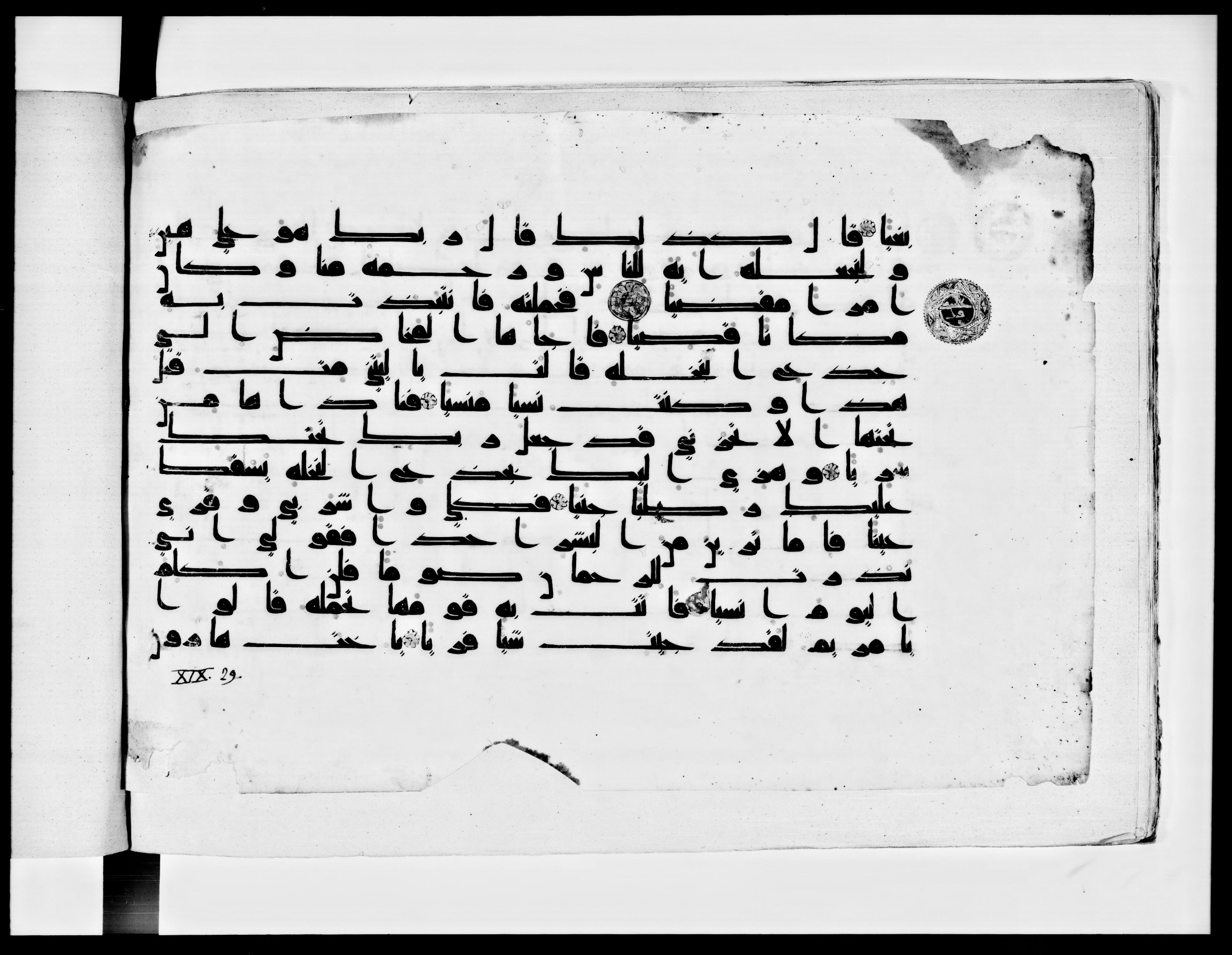 Paris, Bibliothèque nationale de France, Arabe 334 (k) (Scan 1), in Kūfī D.I script, showing Surah 19:21 from Mid 8th to Late 9th Century AD found in Fustat (Old Cairo), Egypt, currently housed at Bibliothèque nationale de France, Paris
