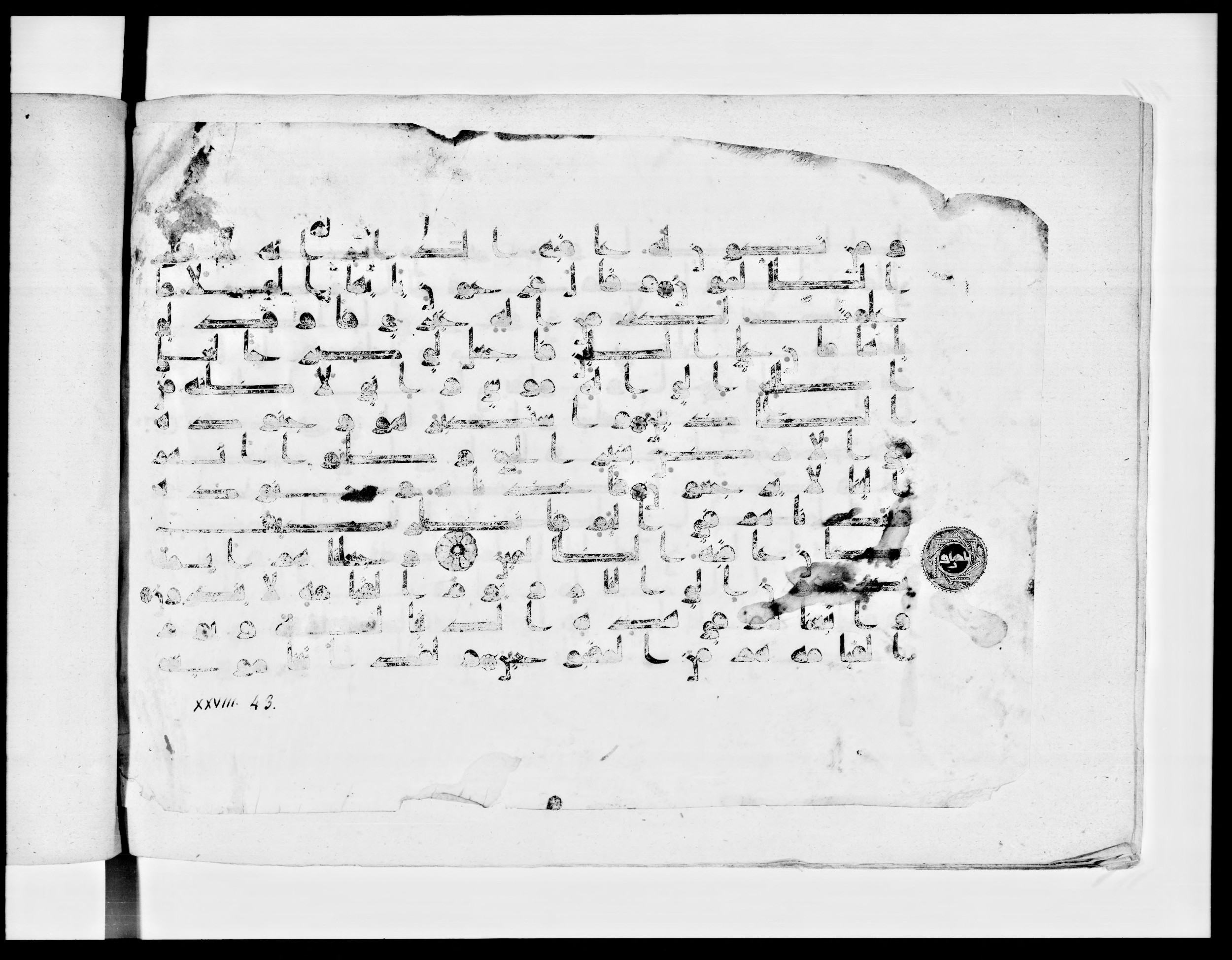 Paris, Bibliothèque nationale de France, Arabe 334 (k) (Scan 1), in Kūfī D.I script, showing Surah 28:39 from Mid 8th to Late 9th Century AD found in Fustat (Old Cairo), Egypt, currently housed at Bibliothèque nationale de France, Paris