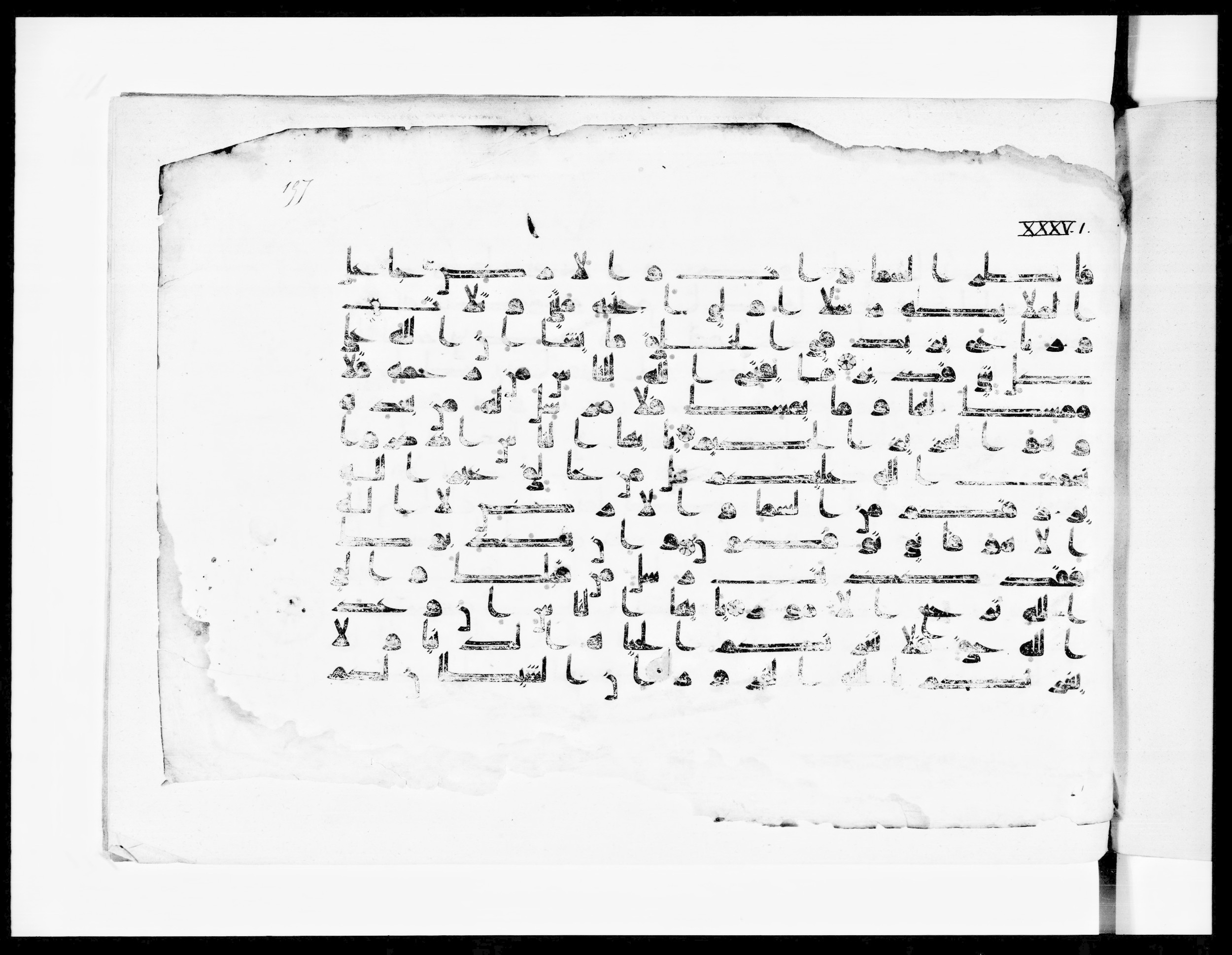 Paris, Bibliothèque nationale de France, Arabe 334 (k) (Scan 1), in Kūfī D.I script, showing Surah 35:4 from Mid 8th to Late 9th Century AD found in Fustat (Old Cairo), Egypt, currently housed at Bibliothèque nationale de France, Paris