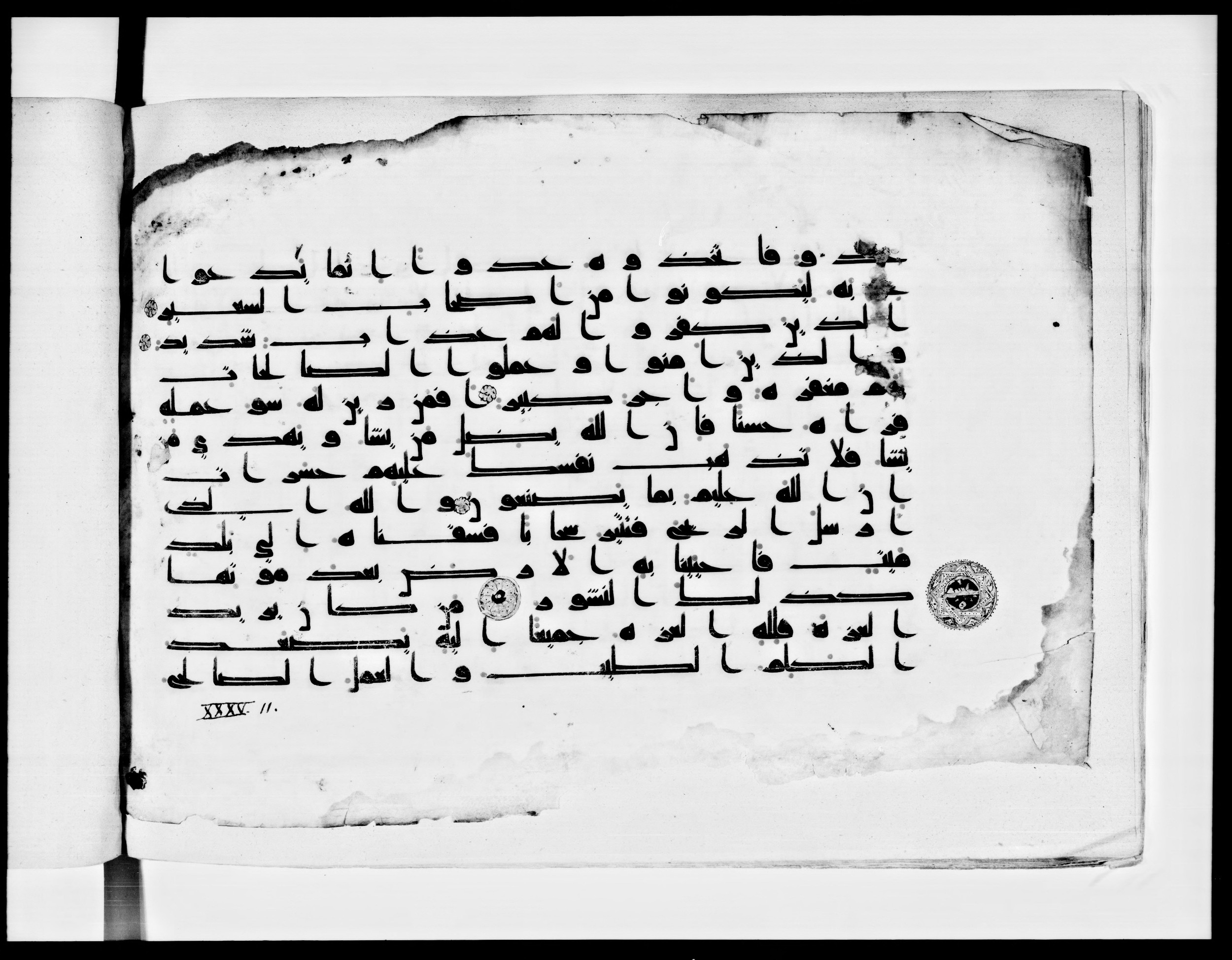 Paris, Bibliothèque nationale de France, Arabe 334 (k) (Scan 1), in Kūfī D.I script, showing Surah 35:7 from Mid 8th to Late 9th Century AD found in Fustat (Old Cairo), Egypt, currently housed at Bibliothèque nationale de France, Paris