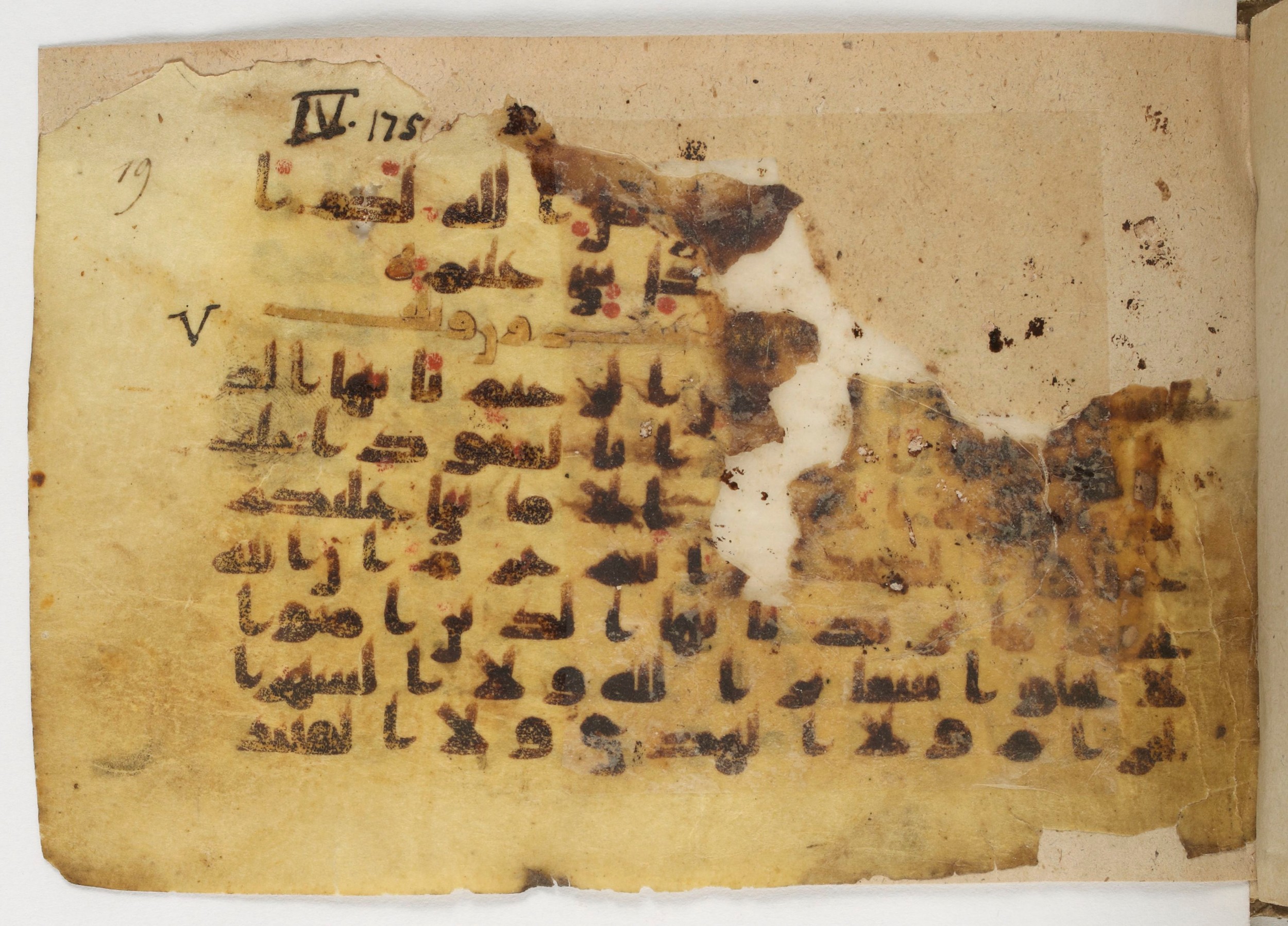 Paris, Bibliothèque nationale de France, Arabe 338 (b) (Scan 1), in Kūfī B.II script, showing Surah 5:2 from Mid-8th to Late 10th Century AD found in Fustat (Old Cairo), Egypt, currently housed at Bibliothèque nationale de France, Paris