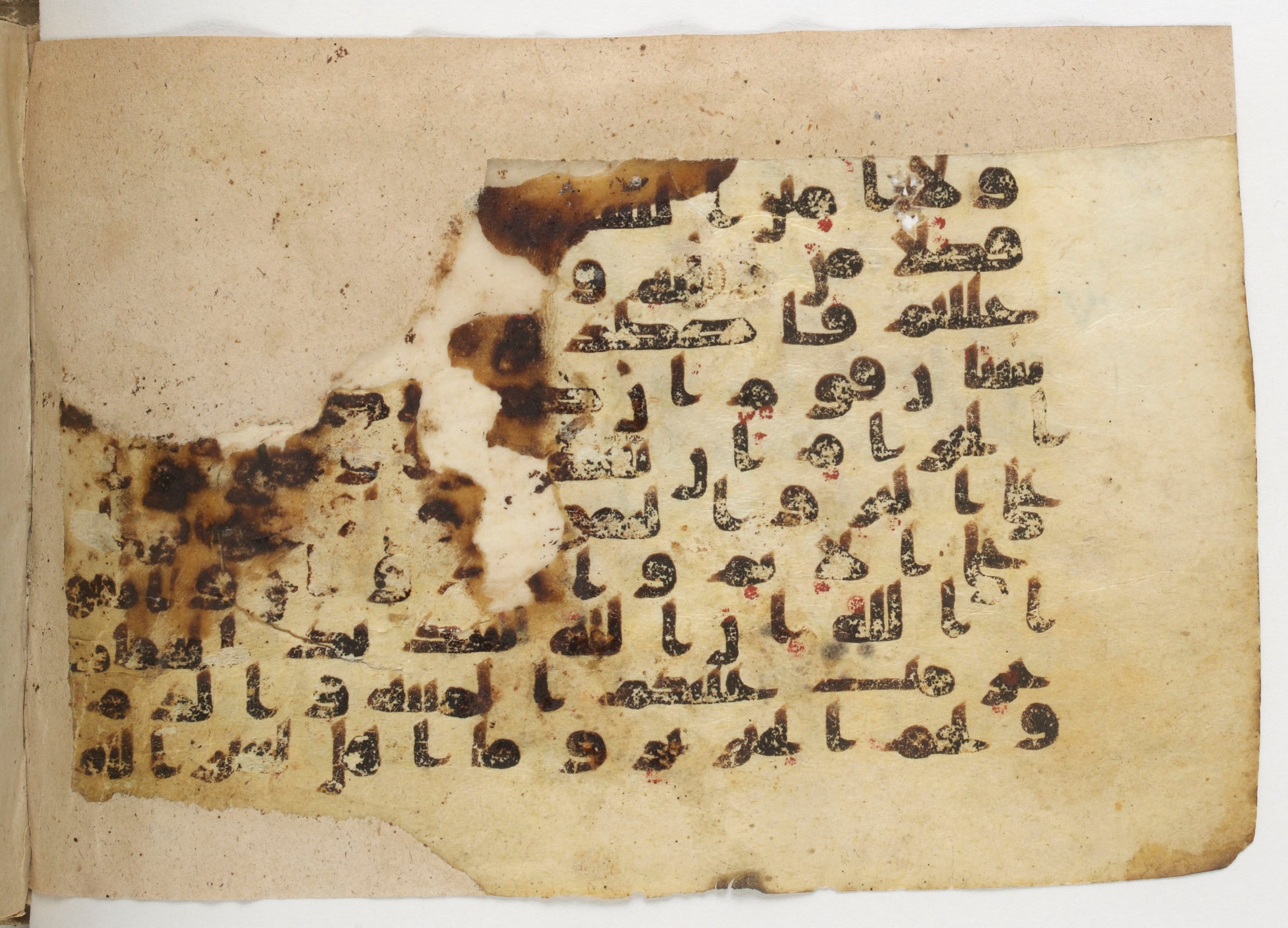 Paris, Bibliothèque nationale de France, Arabe 338 (b) (Scan 2), in Kūfī B.II script, showing Surah 5:2 from Mid-8th to Late 10th Century AD found in Fustat (Old Cairo), Egypt, currently housed at Bibliothèque nationale de France, Paris