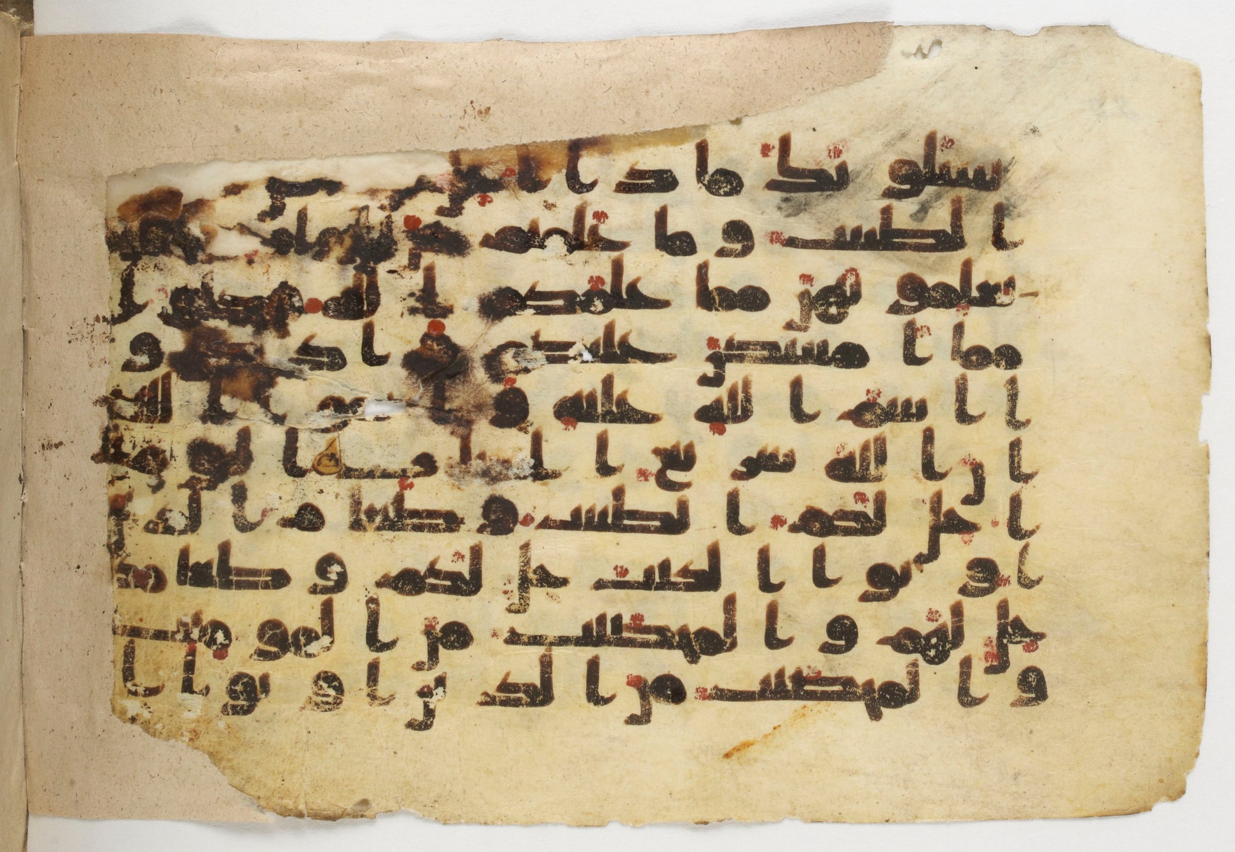 Paris, Bibliothèque nationale de France, Arabe 338 (b), in Kūfī B.II script, showing Surah 5:4 from Mid-8th to Late 10th Century AD found in Fustat (Old Cairo), Egypt, currently housed at Bibliothèque nationale de France, Paris