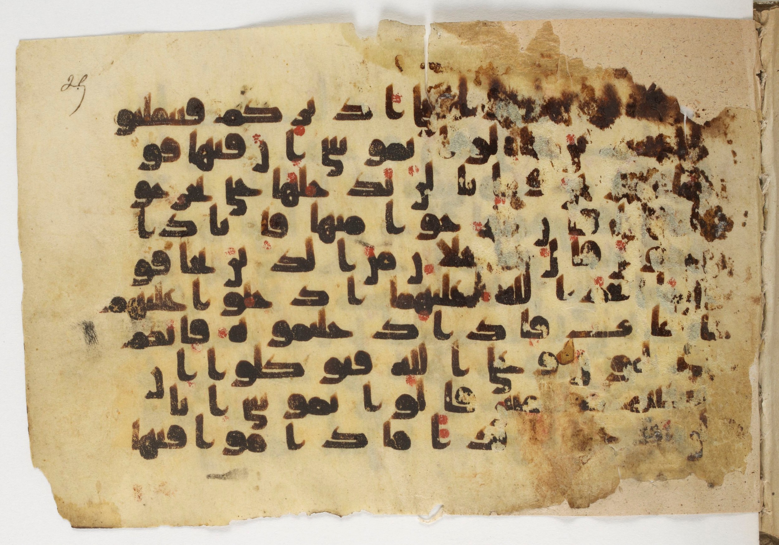 Paris, Bibliothèque nationale de France, Arabe 338 (b) (Scan 2), in Kūfī B.II script, showing Surah 5:21 from Mid-8th to Late 10th Century AD found in Fustat (Old Cairo), Egypt, currently housed at Bibliothèque nationale de France, Paris