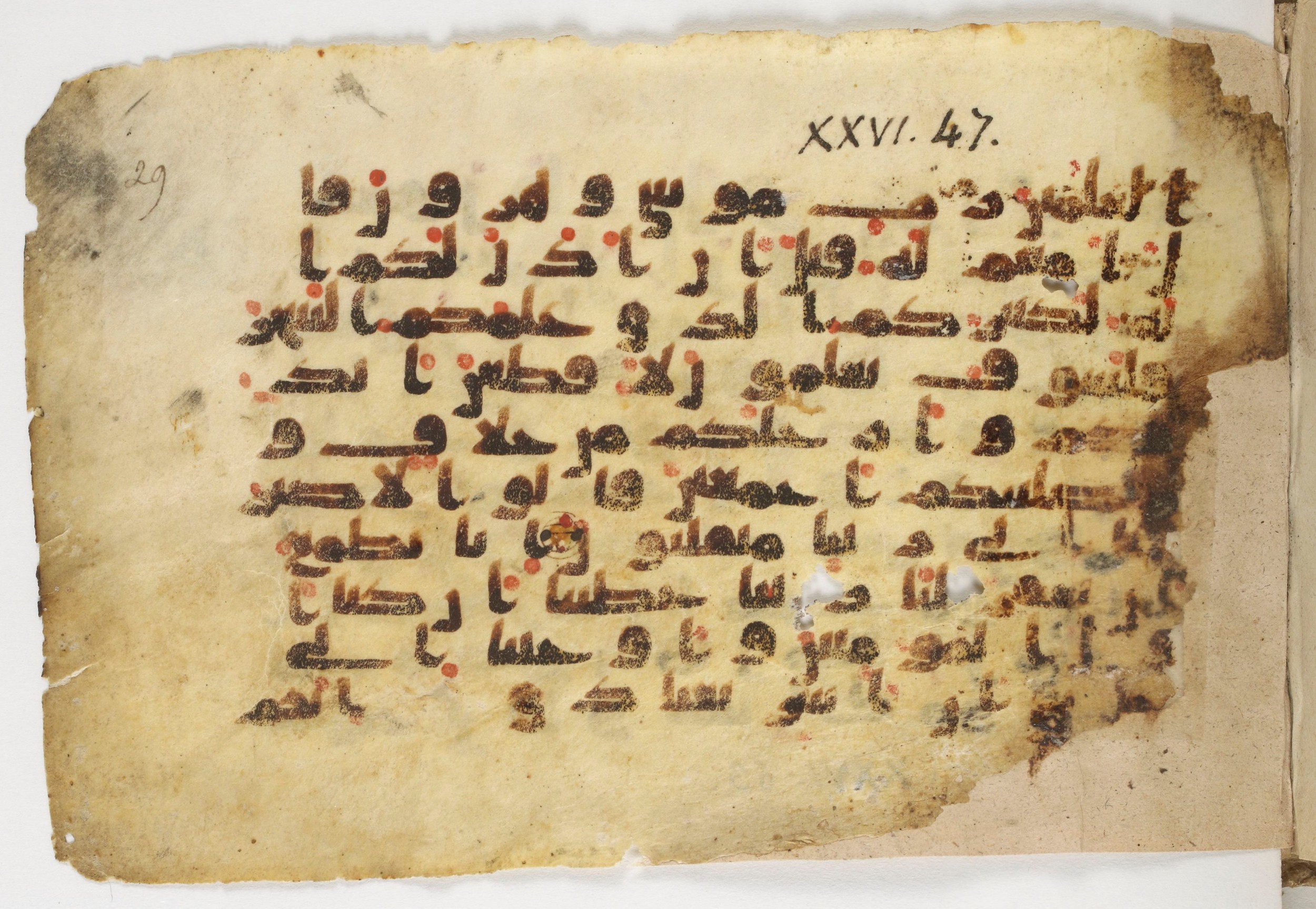 Paris, Bibliothèque nationale de France, Arabe 338 (b) (Scan 1), in Kūfī B.II script, showing Surah 26:52 from Mid-8th to Late 10th Century AD found in Fustat (Old Cairo), Egypt, currently housed at Bibliothèque nationale de France, Paris