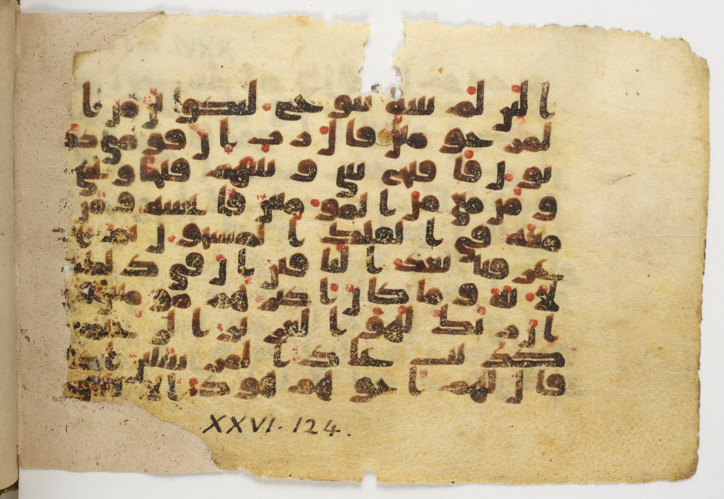 Paris, Bibliothèque nationale de France, Arabe 338 (b) (Scan 2), in Kūfī B.II script, showing Surah 26:116 from Mid-8th to Late 10th Century AD found in Fustat (Old Cairo), Egypt, currently housed at Bibliothèque nationale de France, Paris