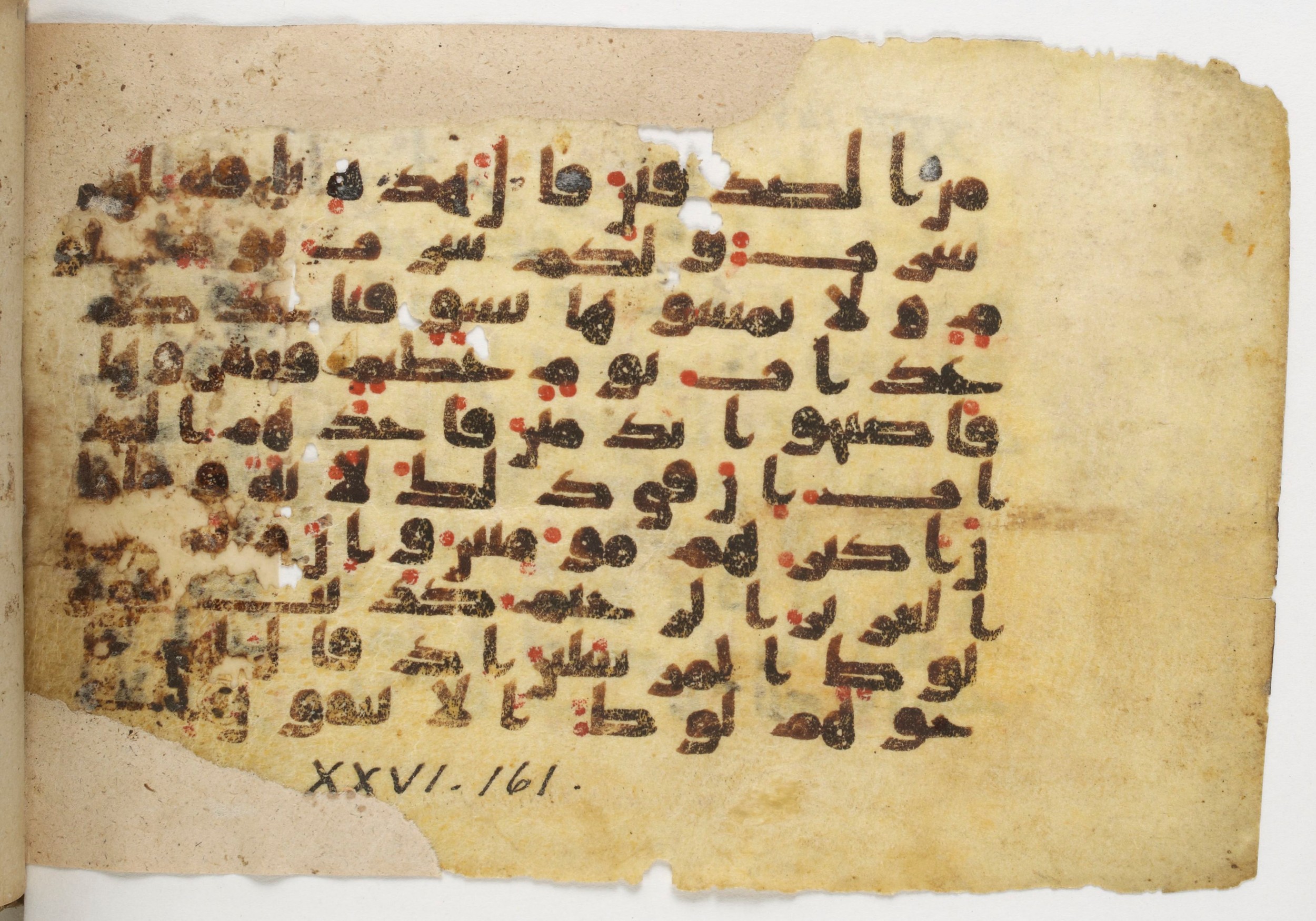 Paris, Bibliothèque nationale de France, Arabe 338 (b), in Kūfī B.II script, showing Surah 26:155 from Mid-8th to Late 10th Century AD found in Fustat (Old Cairo), Egypt, currently housed at Bibliothèque nationale de France, Paris