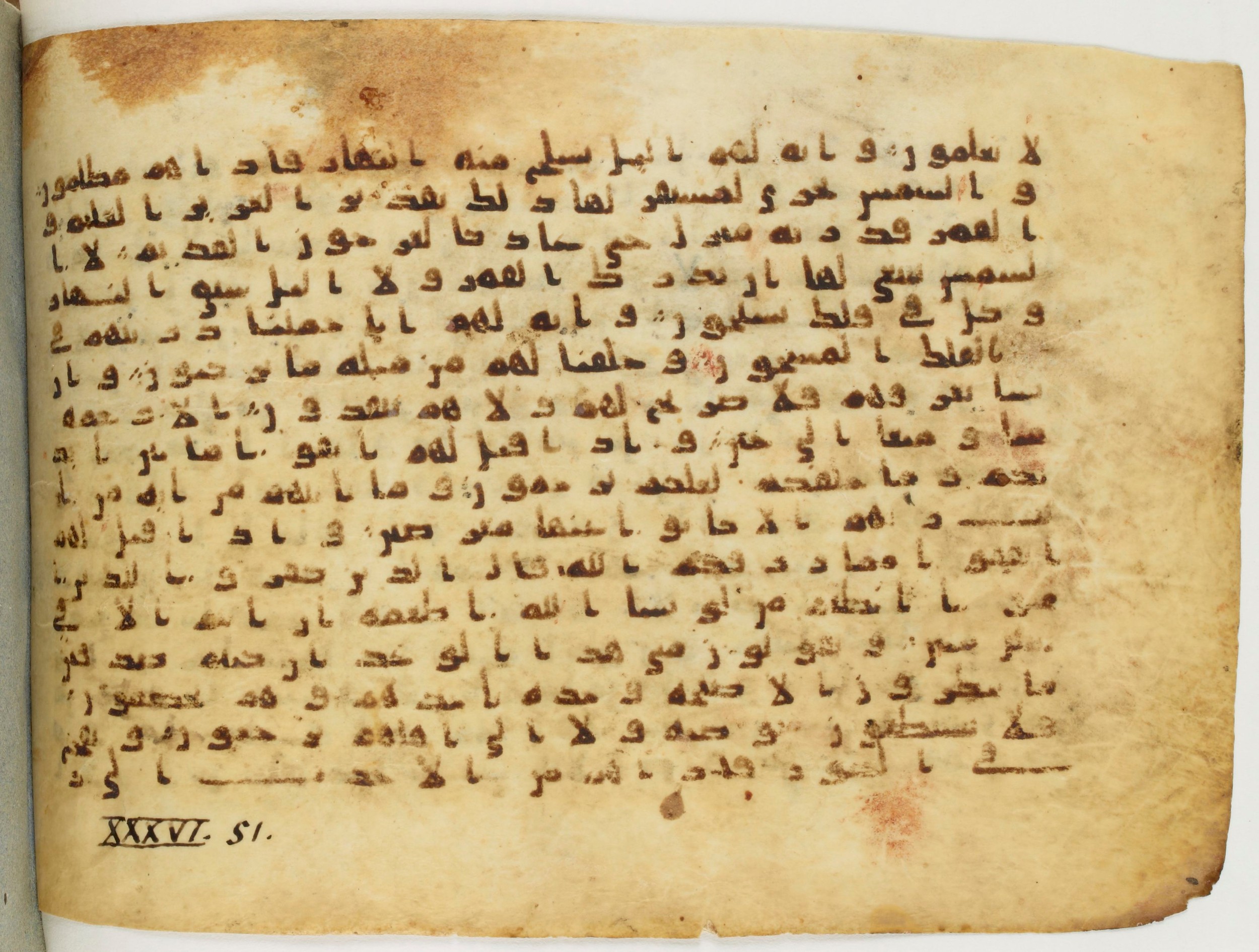 Arabe 340 (b), in Unclassified (Analogous to Early Abbasid Groups A and B) script, showing Surah 36:49 from 8th to 9th Century AD found in Fustat (Old Cairo), Egypt, currently housed at Bibliothèque nationale de France, Paris