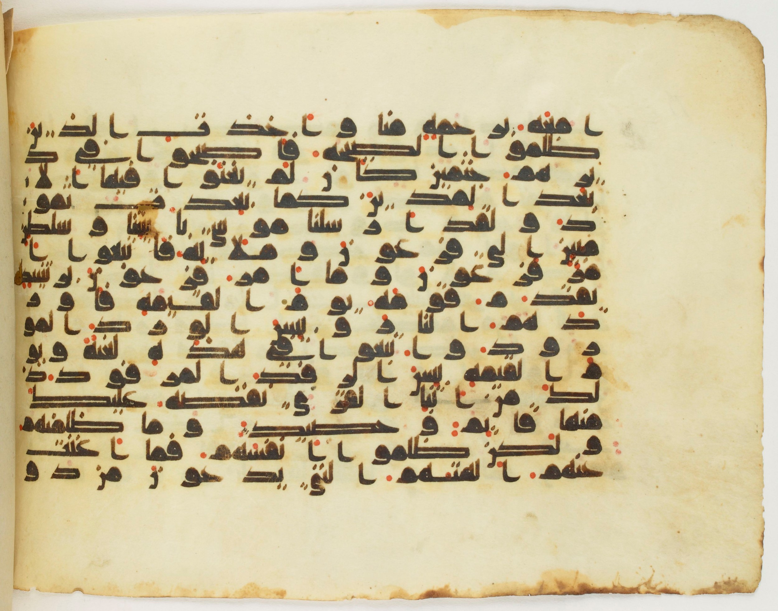 Arabe 340 (e), in Kufic D.IV script, showing Surah 11:98 from Mid 8th to Late 10th Century AD found in al-Fusṭāṭ (Old Cairo), Egypt, currently housed at Bibliothèque nationale de France, Paris