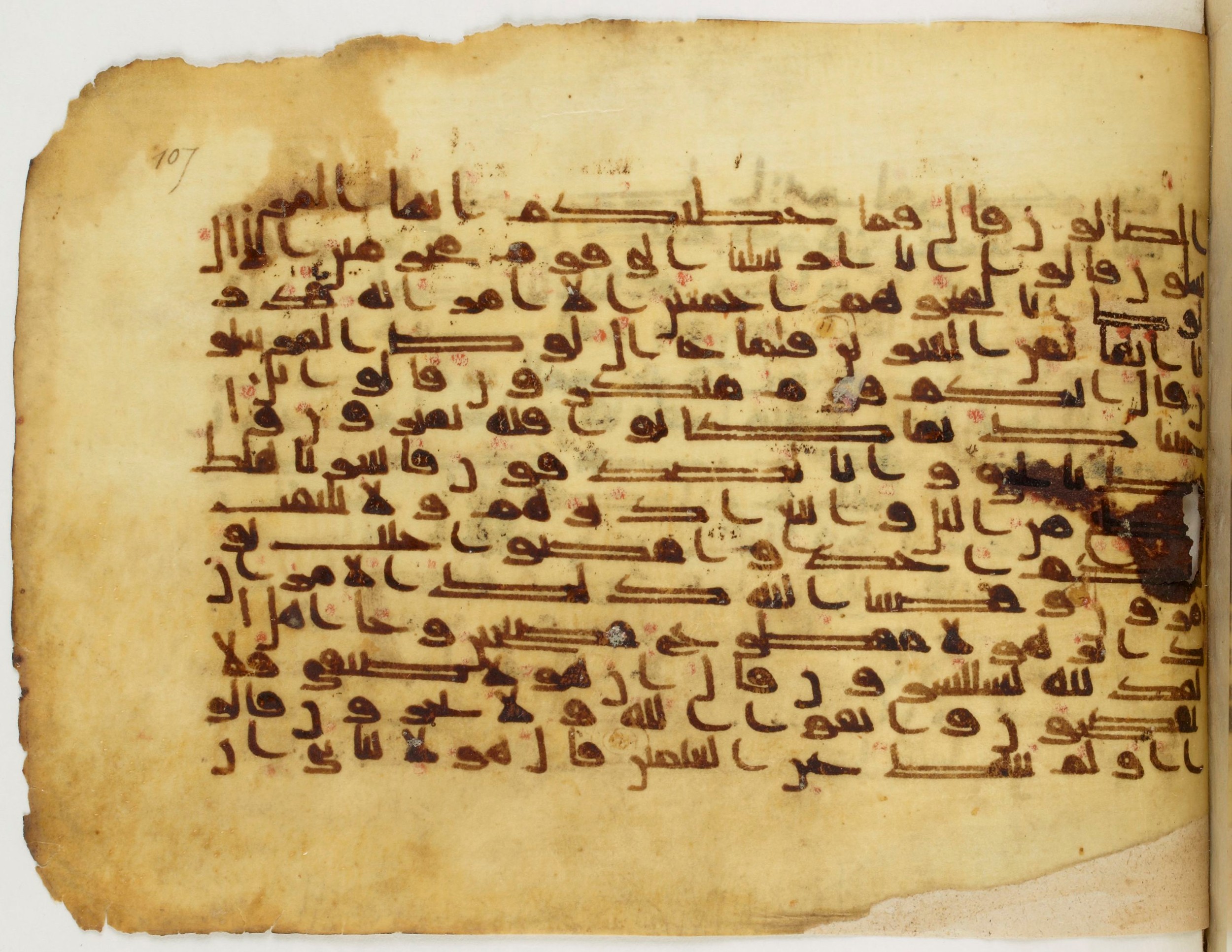 Paris, Bibliothèque nationale de France, Arabe 340 (g) (Scan 1), in Kūfī D common script, showing Surah 15:71 from Mid 8th to Late 10th Century AD found in Fustat (Old Cairo), Egypt, currently housed at Bibliothèque nationale de France, Paris