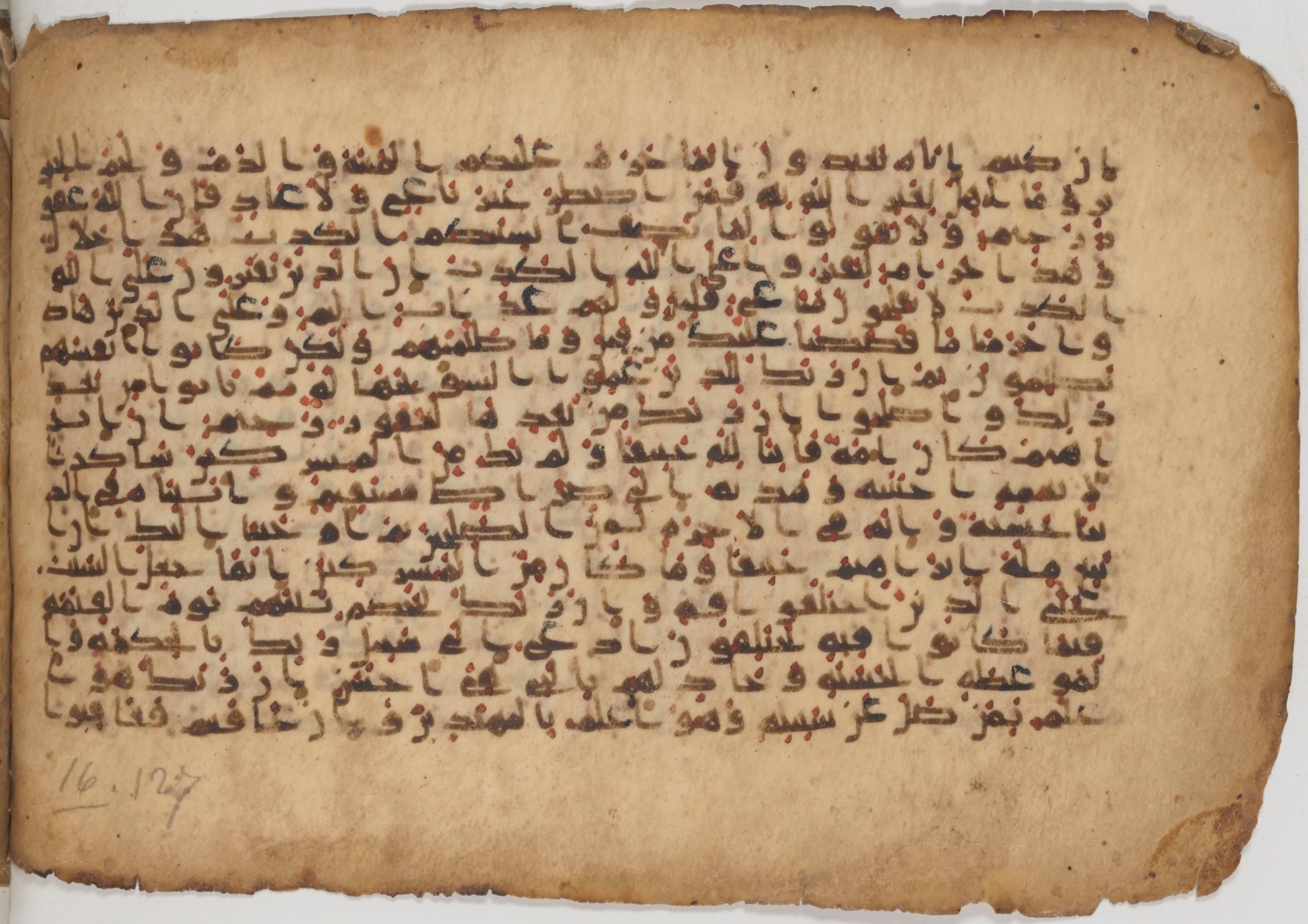 Paris, Bibliothèque nationale de France, Arabe 343, in Kūfī D script, showing Surah 16:116 from Mid 8th to Late 9th Century AD found in Fustat (Old Cairo), Egypt, currently housed at Bibliothèque nationale de France, Paris