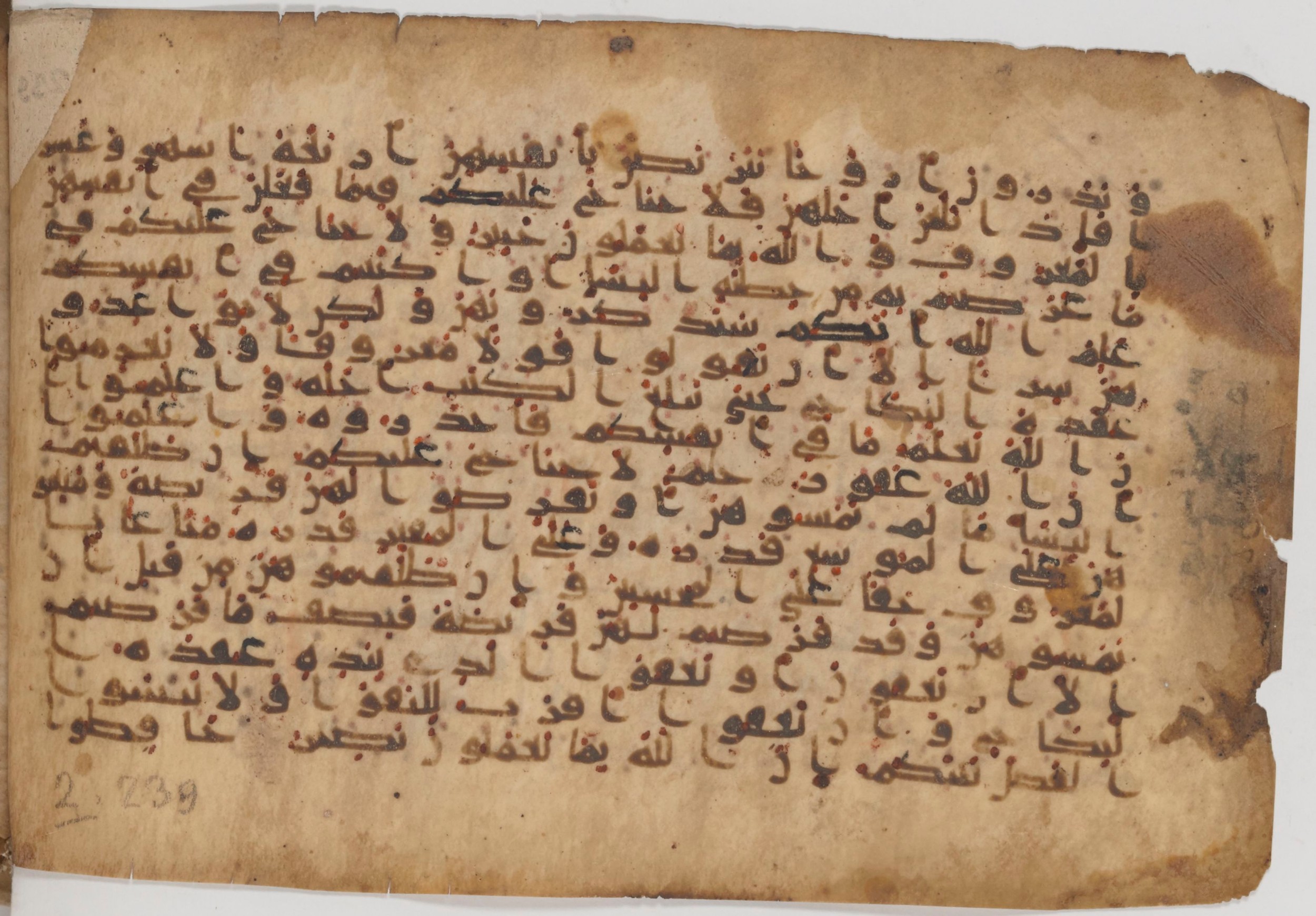 Paris, Bibliothèque nationale de France, Arabe 343, in Kūfī D script, showing Surah 2:237 from Mid 8th to Late 9th Century AD found in Fustat (Old Cairo), Egypt, currently housed at Bibliothèque nationale de France, Paris