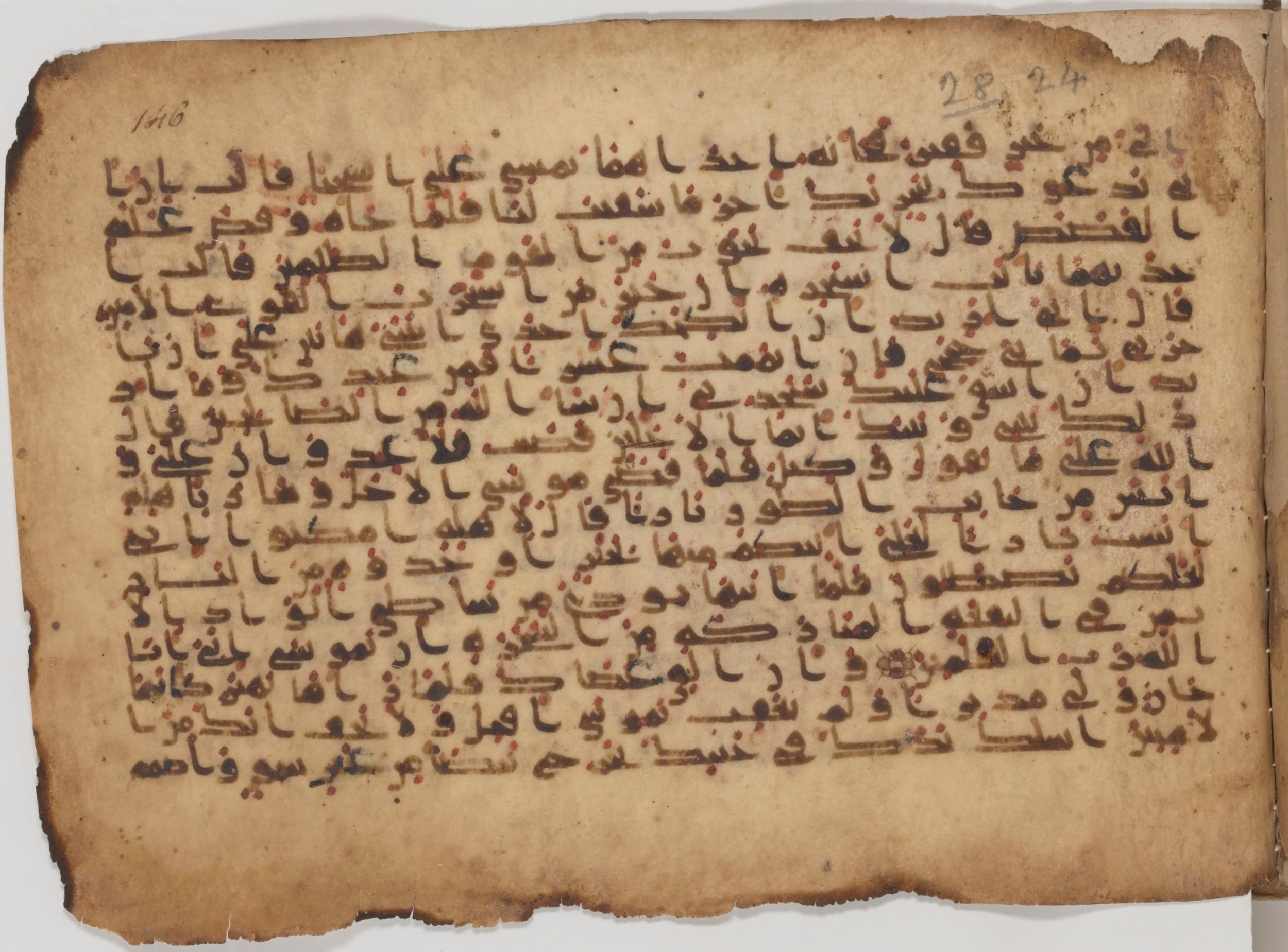 Paris, Bibliothèque nationale de France, Arabe 343 (Scan 1), in Kūfī D script, showing Surah 28:32 from Mid 8th to Late 9th Century AD found in Fustat (Old Cairo), Egypt, currently housed at Bibliothèque nationale de France, Paris