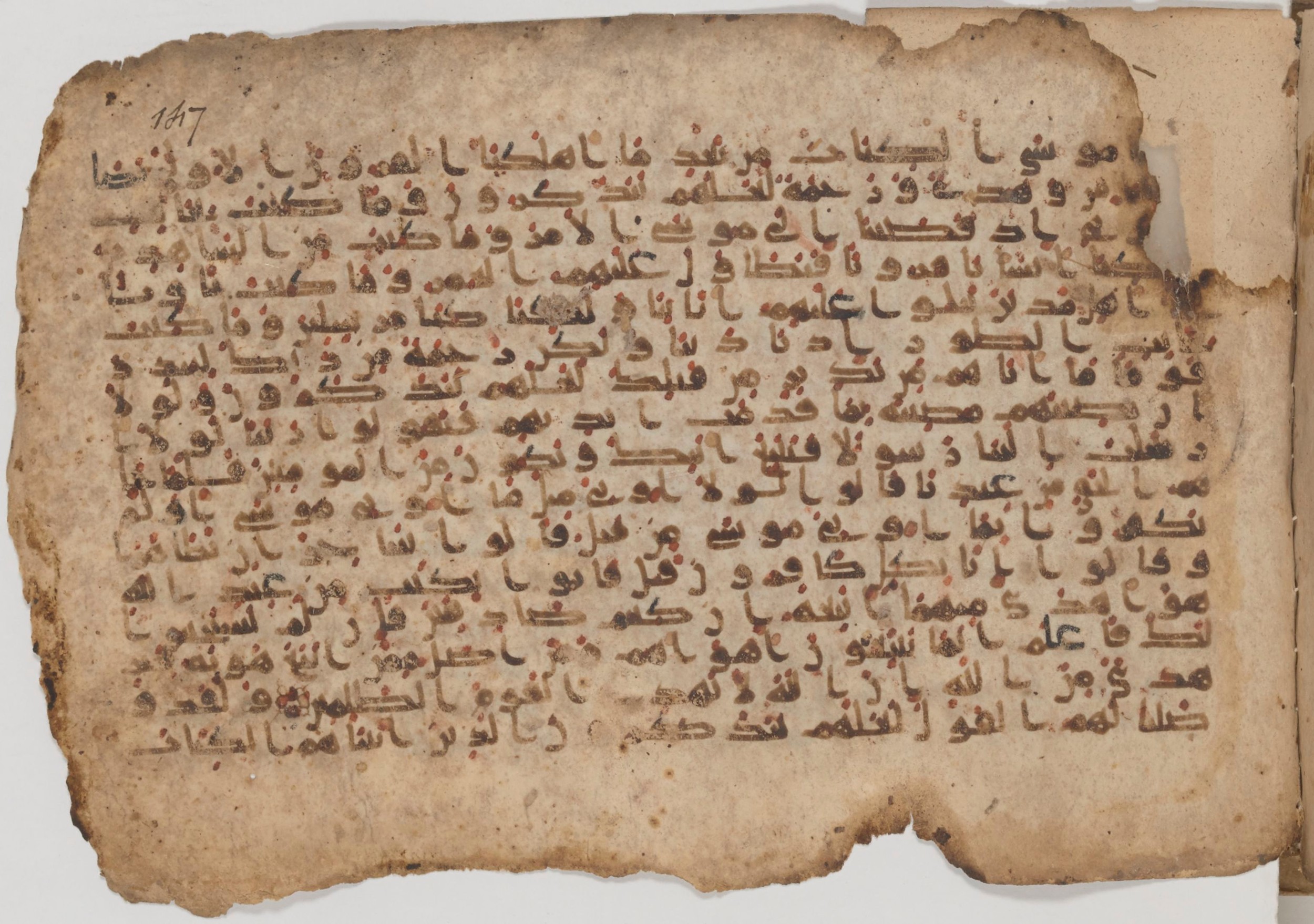 Paris, Bibliothèque nationale de France, Arabe 343, in Kūfī D script, showing Surah 28:49 from Mid 8th to Late 9th Century AD found in Fustat (Old Cairo), Egypt, currently housed at Bibliothèque nationale de France, Paris