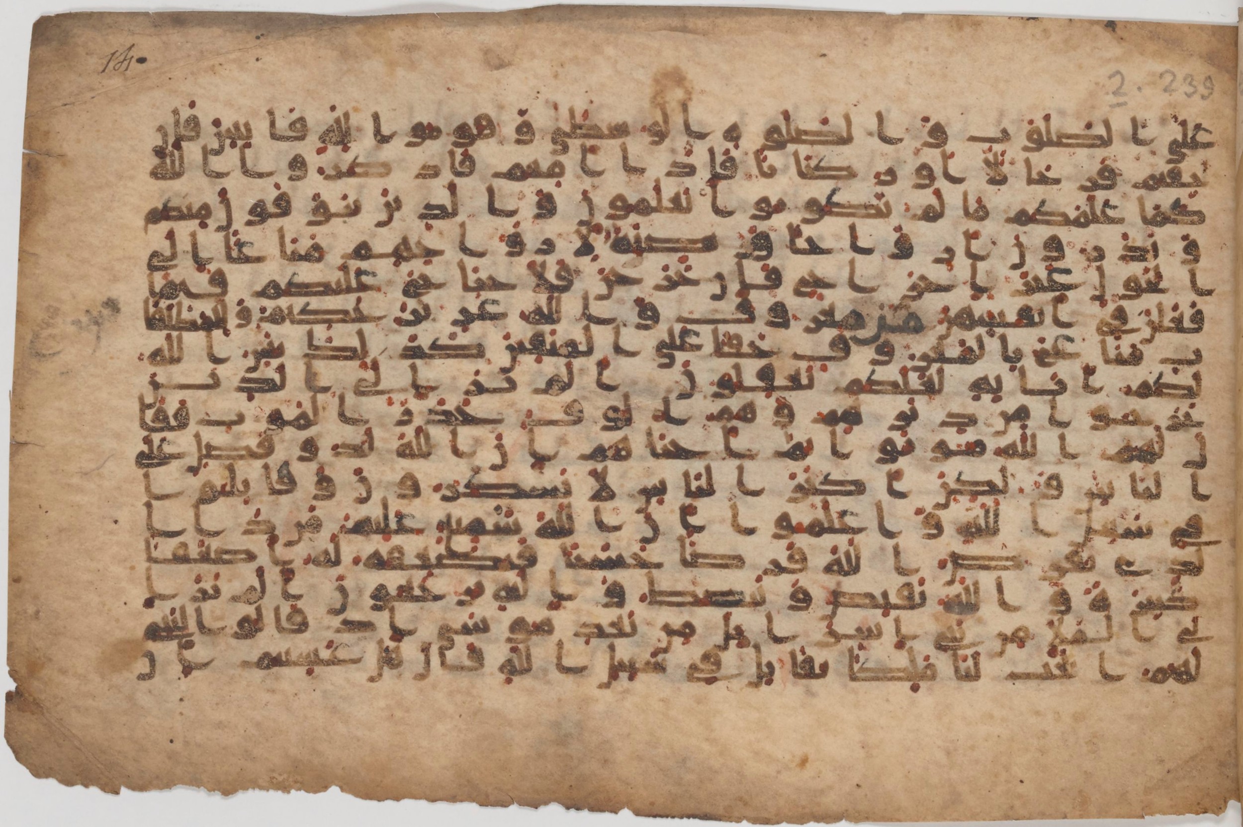 Paris, Bibliothèque nationale de France, Arabe 343, in Kūfī D script, showing Surah 2:239 from Mid 8th to Late 9th Century AD found in Fustat (Old Cairo), Egypt, currently housed at Bibliothèque nationale de France, Paris