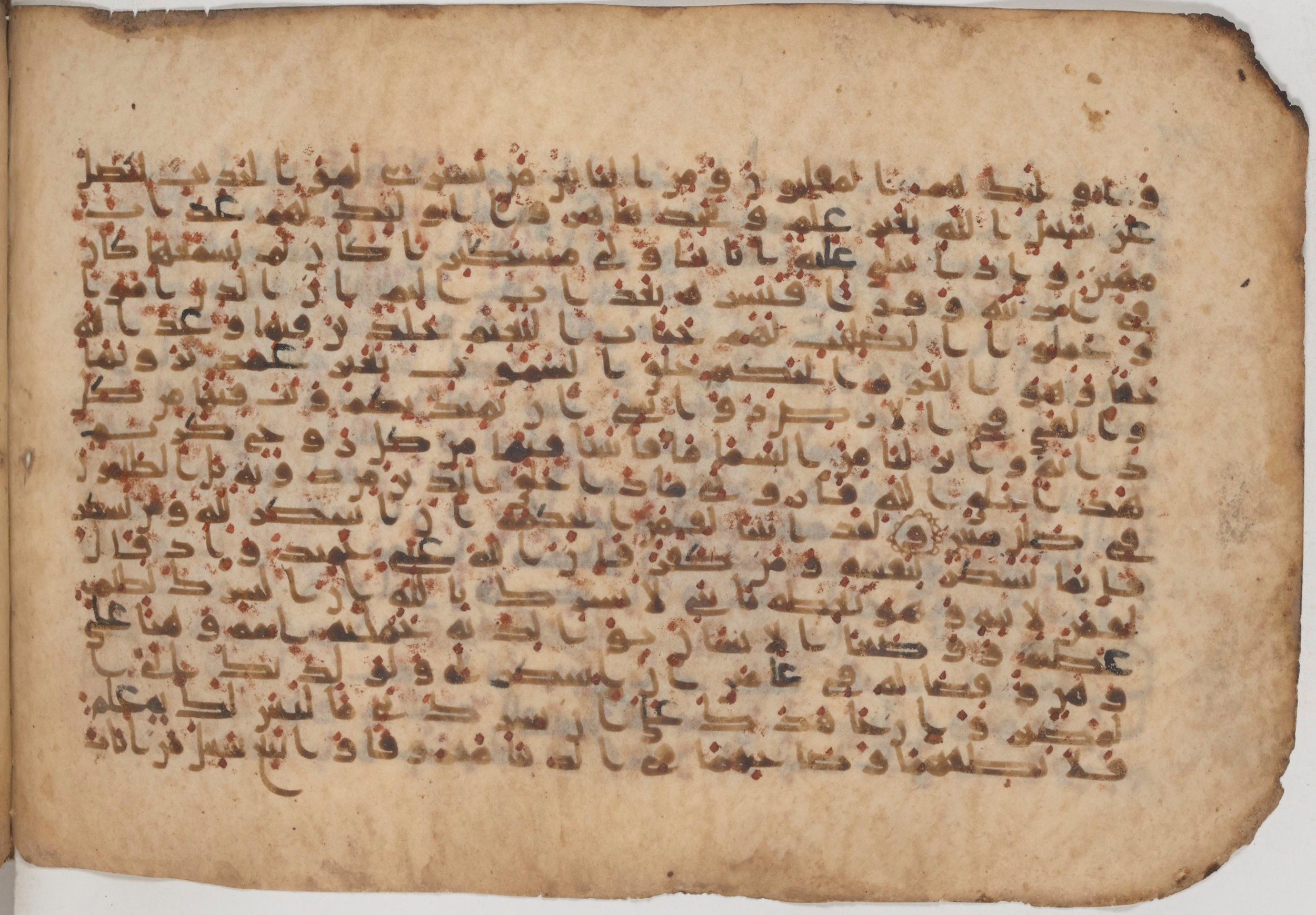 Paris, Bibliothèque nationale de France, Arabe 343, in Kūfī D script, showing Surah 31:13 from Mid 8th to Late 9th Century AD found in Fustat (Old Cairo), Egypt, currently housed at Bibliothèque nationale de France, Paris