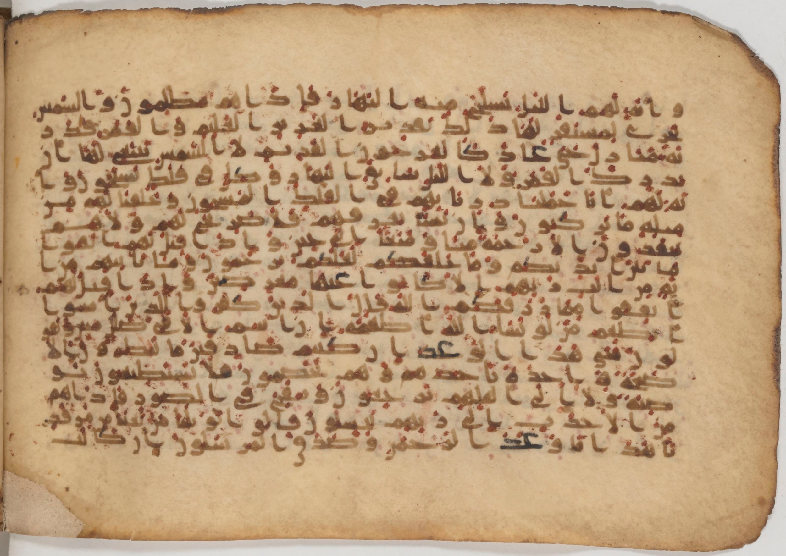 Paris, Bibliothèque nationale de France, Arabe 343, in Kūfī D script, showing Surah 36:49 from Mid 8th to Late 9th Century AD found in Fustat (Old Cairo), Egypt, currently housed at Bibliothèque nationale de France, Paris