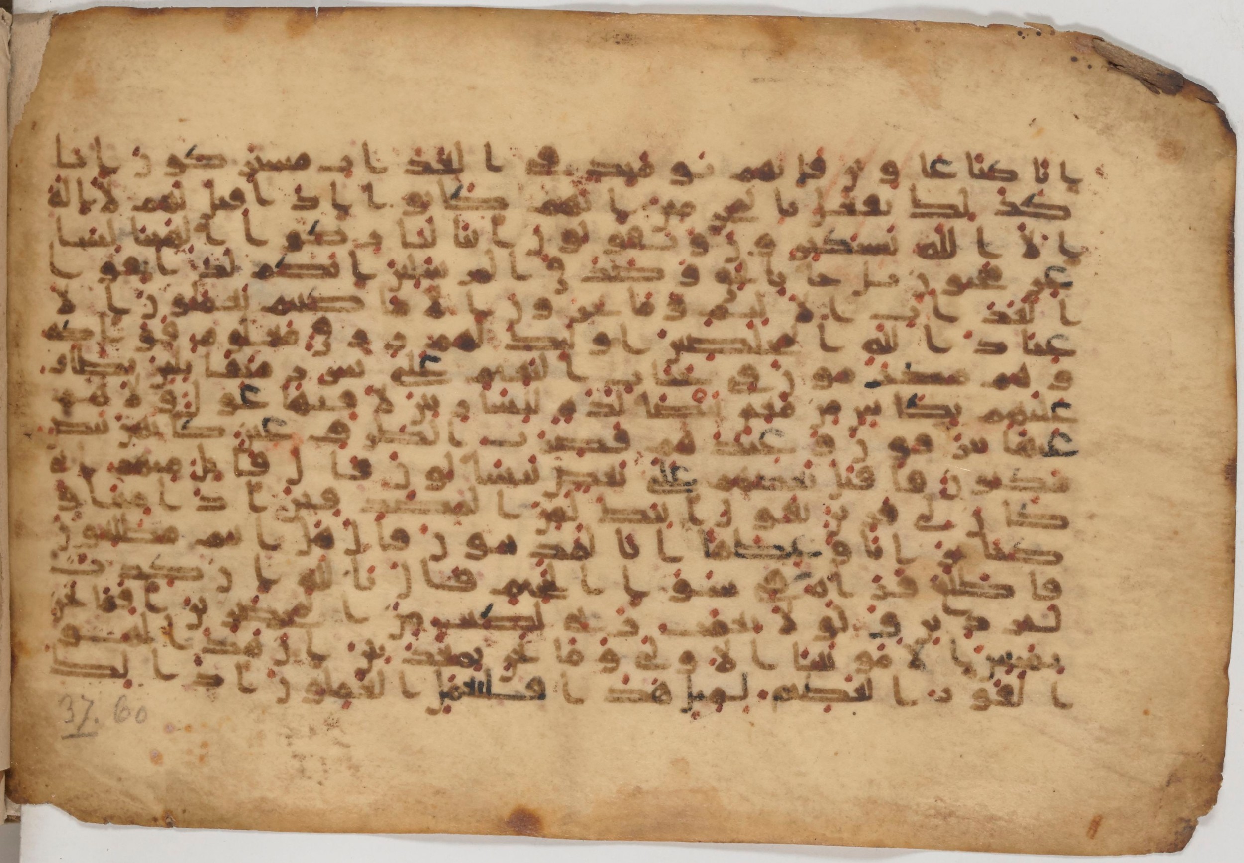 Paris, Bibliothèque nationale de France, Arabe 343, in Kūfī D script, showing Surah 37:49 from Mid 8th to Late 9th Century AD found in Fustat (Old Cairo), Egypt, currently housed at Bibliothèque nationale de France, Paris