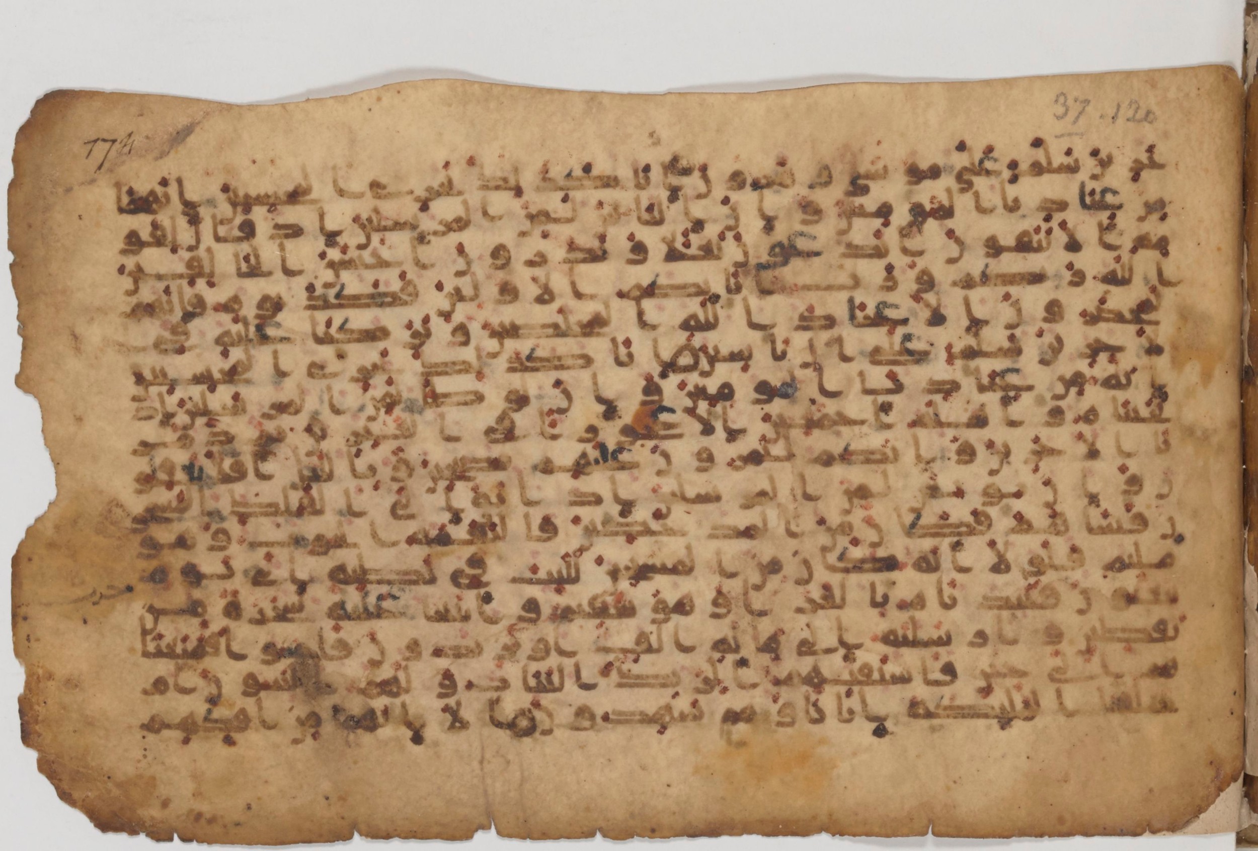 Paris, Bibliothèque nationale de France, Arabe 343, in Kūfī D script, showing Surah 37:136 from Mid 8th to Late 9th Century AD found in Fustat (Old Cairo), Egypt, currently housed at Bibliothèque nationale de France, Paris