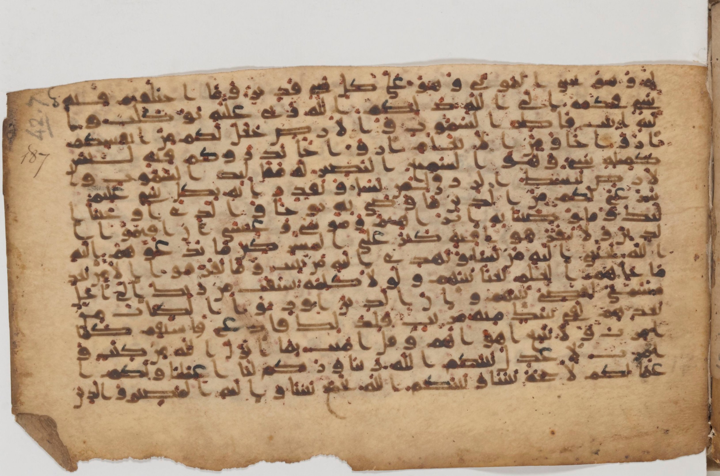 Paris, Bibliothèque nationale de France, Arabe 343 (Scan 1), in Kūfī D script, showing Surah 42:16 from Mid 8th to Late 9th Century AD found in Fustat (Old Cairo), Egypt, currently housed at Bibliothèque nationale de France, Paris