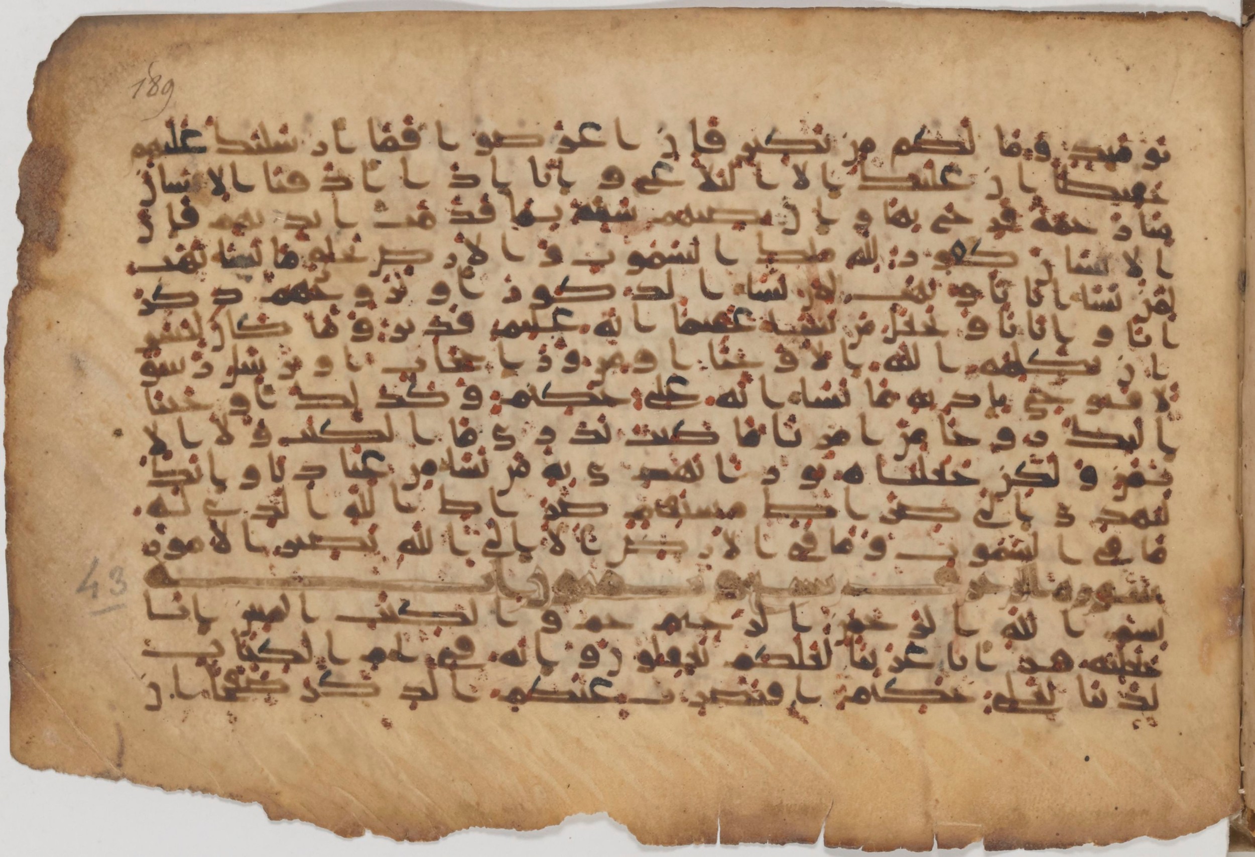 Paris, Bibliothèque nationale de France, Arabe 343, in Kūfī D script, showing Surah 42:49 from Mid 8th to Late 9th Century AD found in Fustat (Old Cairo), Egypt, currently housed at Bibliothèque nationale de France, Paris