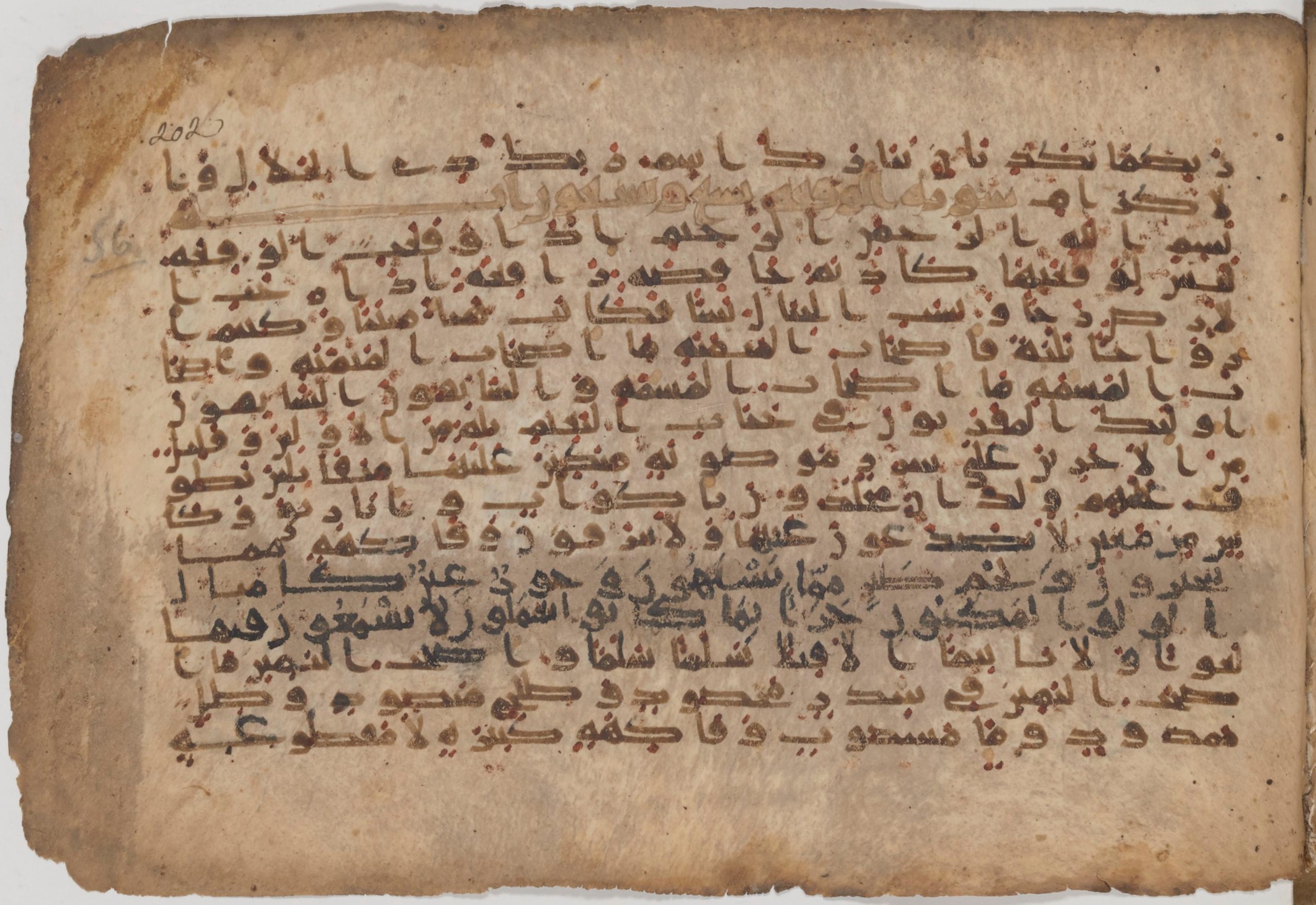 Paris, Bibliothèque nationale de France, Arabe 343, in Kūfī D script, showing Surah 56:21 from Mid 8th to Late 9th Century AD found in Fustat (Old Cairo), Egypt, currently housed at Bibliothèque nationale de France, Paris