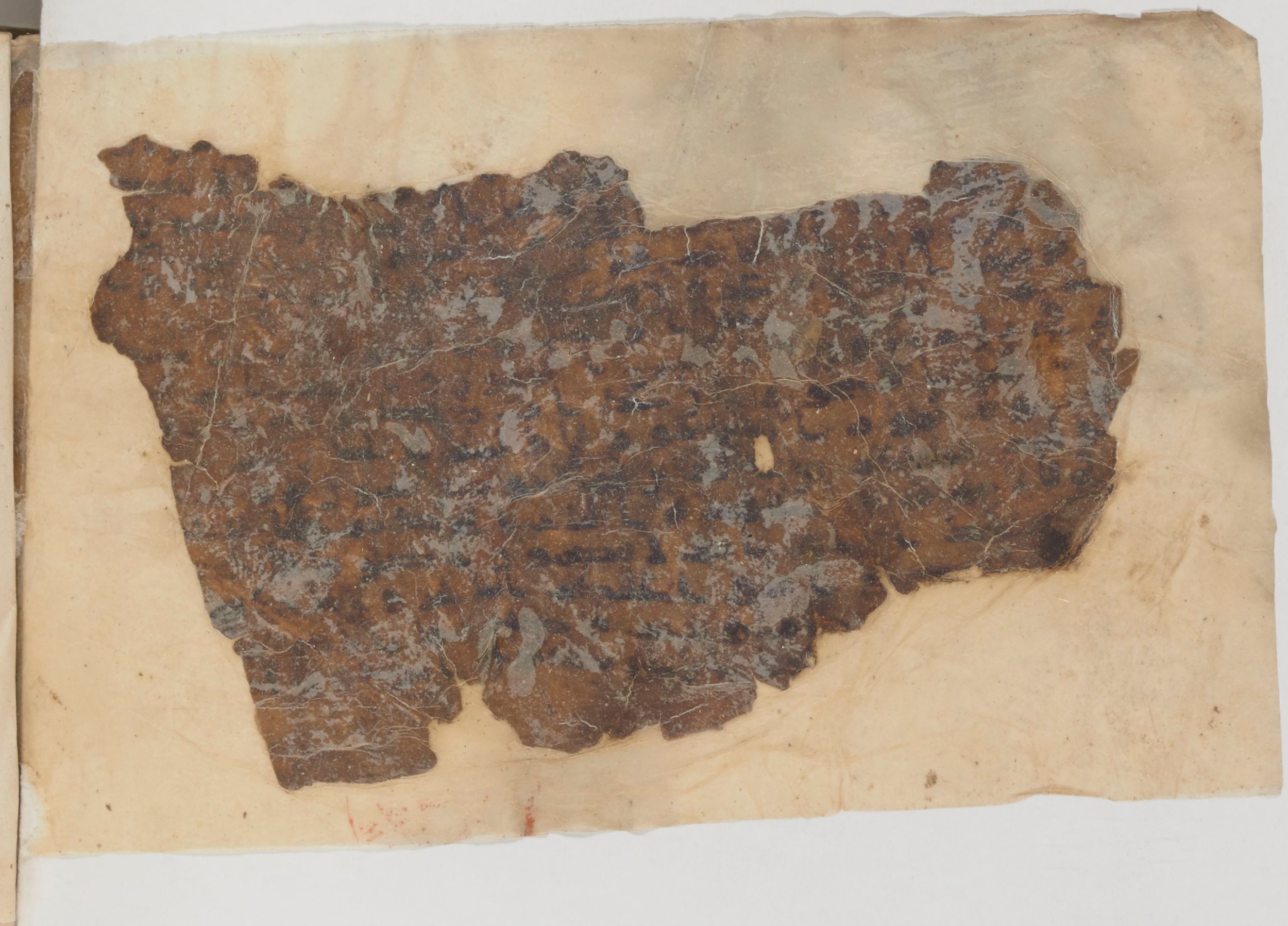 Paris, Bibliothèque nationale de France, Arabe 343, in Kūfī D script, showing Surah 52:13 from Mid 8th to Late 9th Century AD found in Fustat (Old Cairo), Egypt, currently housed at Bibliothèque nationale de France, Paris