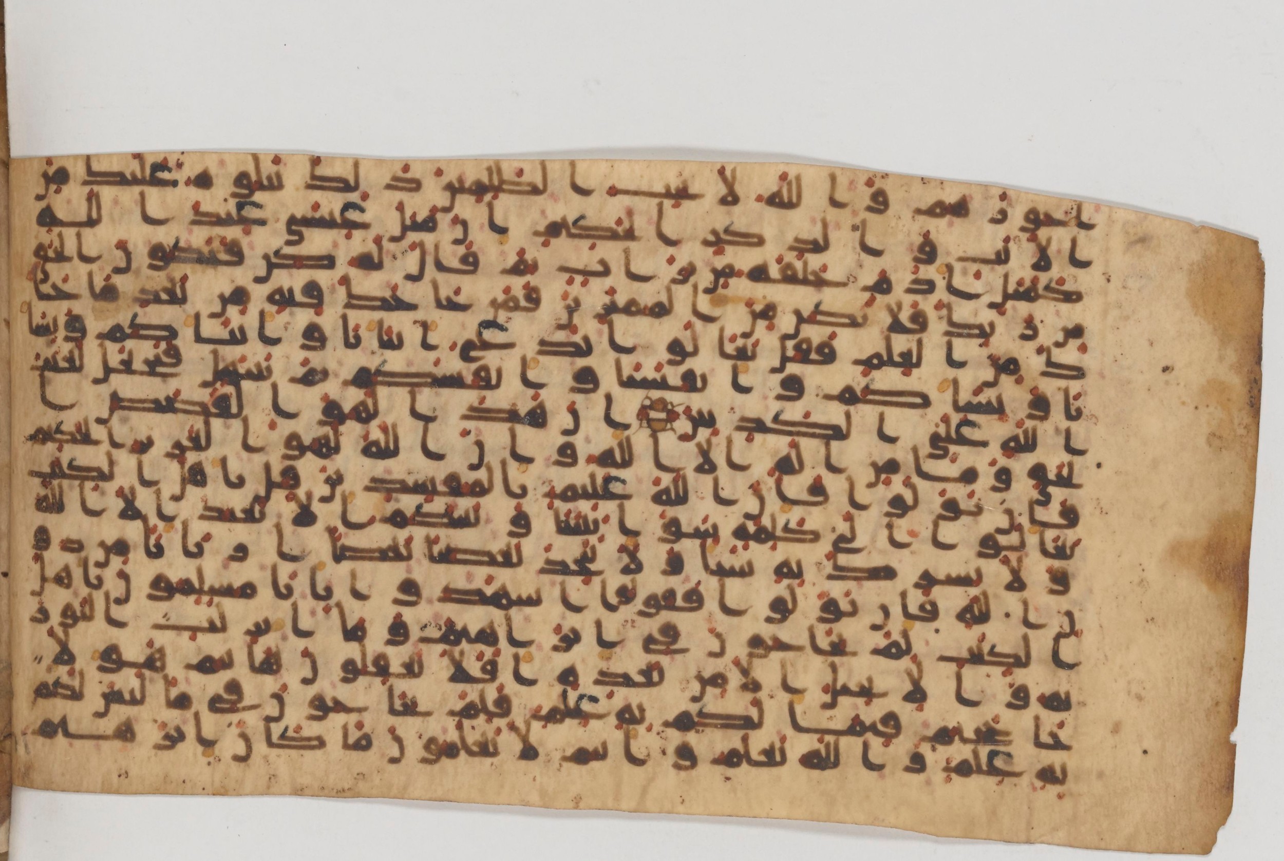 Paris, Bibliothèque nationale de France, Arabe 343, in Kūfī D script, showing Surah 3:63 from Mid 8th to Late 9th Century AD found in Fustat (Old Cairo), Egypt, currently housed at Bibliothèque nationale de France, Paris