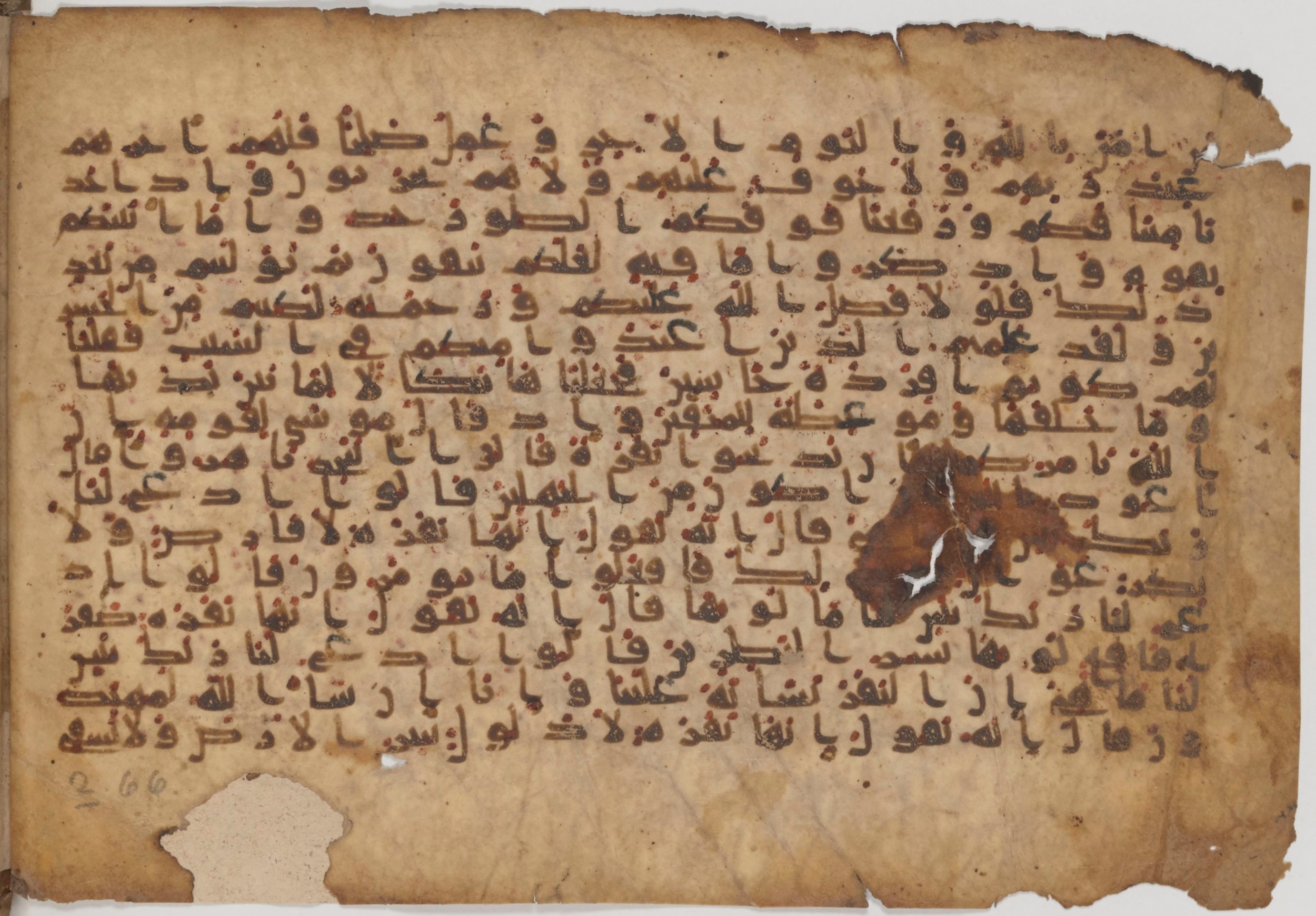 Paris, Bibliothèque nationale de France, Arabe 343, in Kūfī D script, showing Surah 2:71 from Mid 8th to Late 9th Century AD found in Fustat (Old Cairo), Egypt, currently housed at Bibliothèque nationale de France, Paris