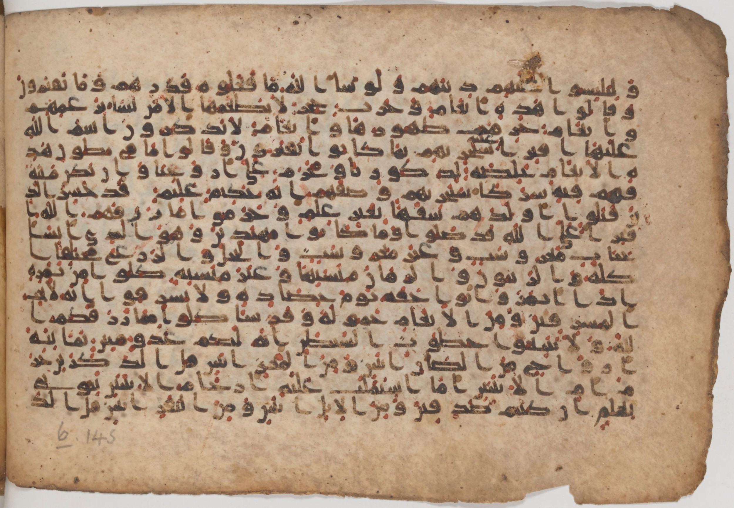 Paris, Bibliothèque nationale de France, Arabe 343 (Scan 2), in Kūfī D script, showing Surah 6:137 from Mid 8th to Late 9th Century AD found in Fustat (Old Cairo), Egypt, currently housed at Bibliothèque nationale de France, Paris
