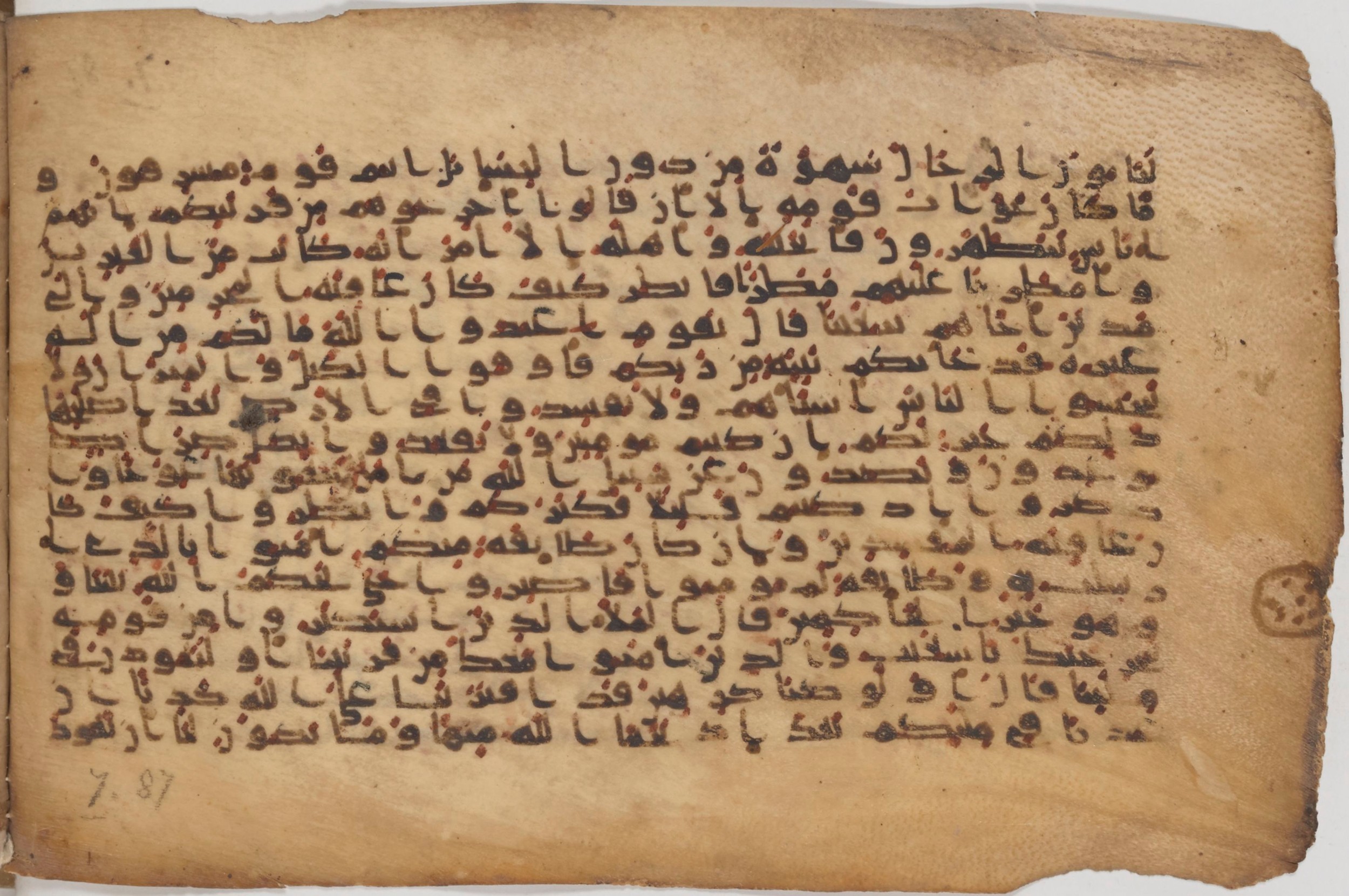 Paris, Bibliothèque nationale de France, Arabe 343, in Kūfī D script, showing Surah 7:83 from Mid 8th to Late 9th Century AD found in Fustat (Old Cairo), Egypt, currently housed at Bibliothèque nationale de France, Paris