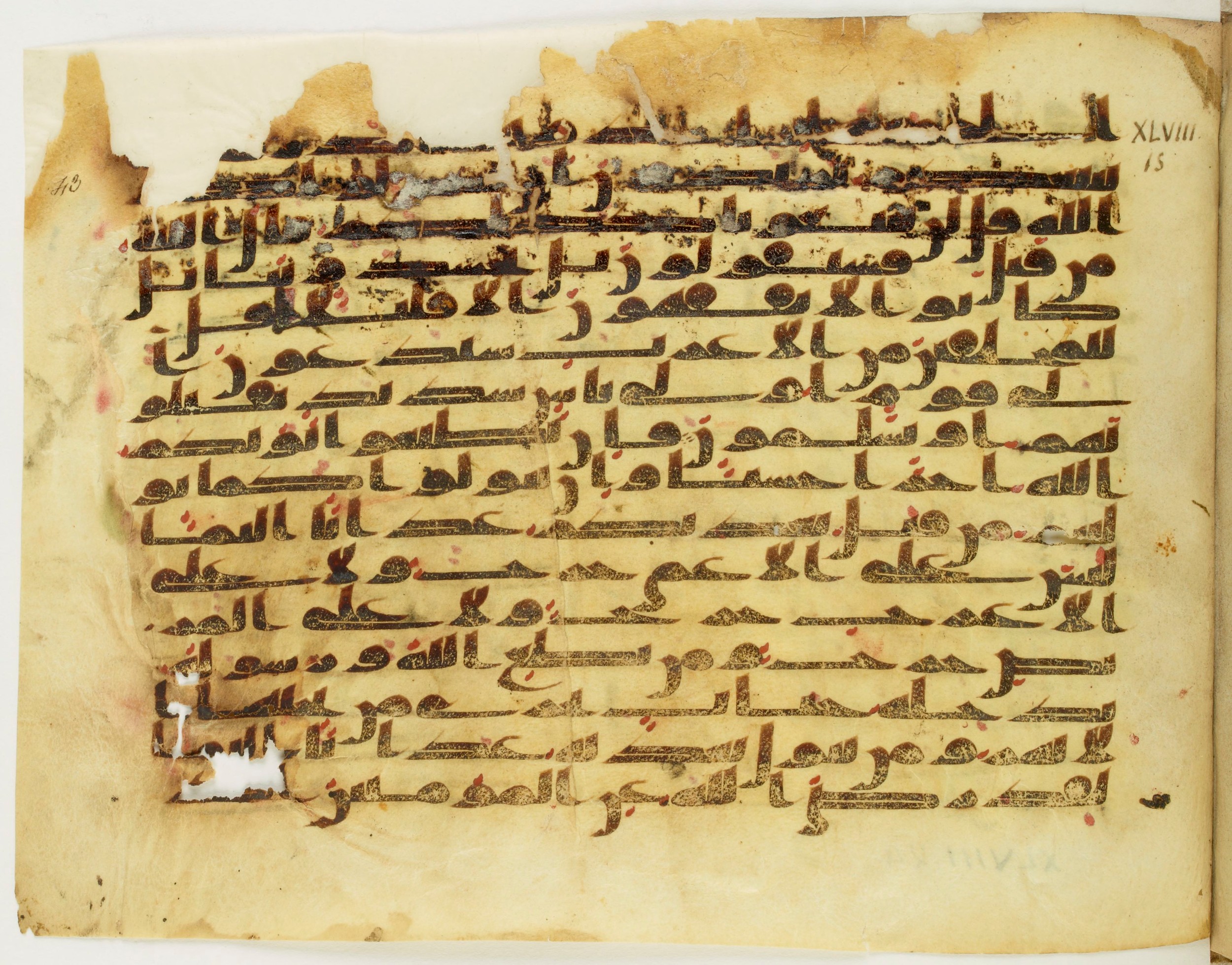 Paris, Bibliothèque nationale de France, Arabe 345 (c) (Scan 1), in Kufic C.II script, showing Surah 48:18 from 8th to 9th Century AD found in Fustat (Old Cairo), Egypt, currently housed at Bibliothèque nationale de France, Paris