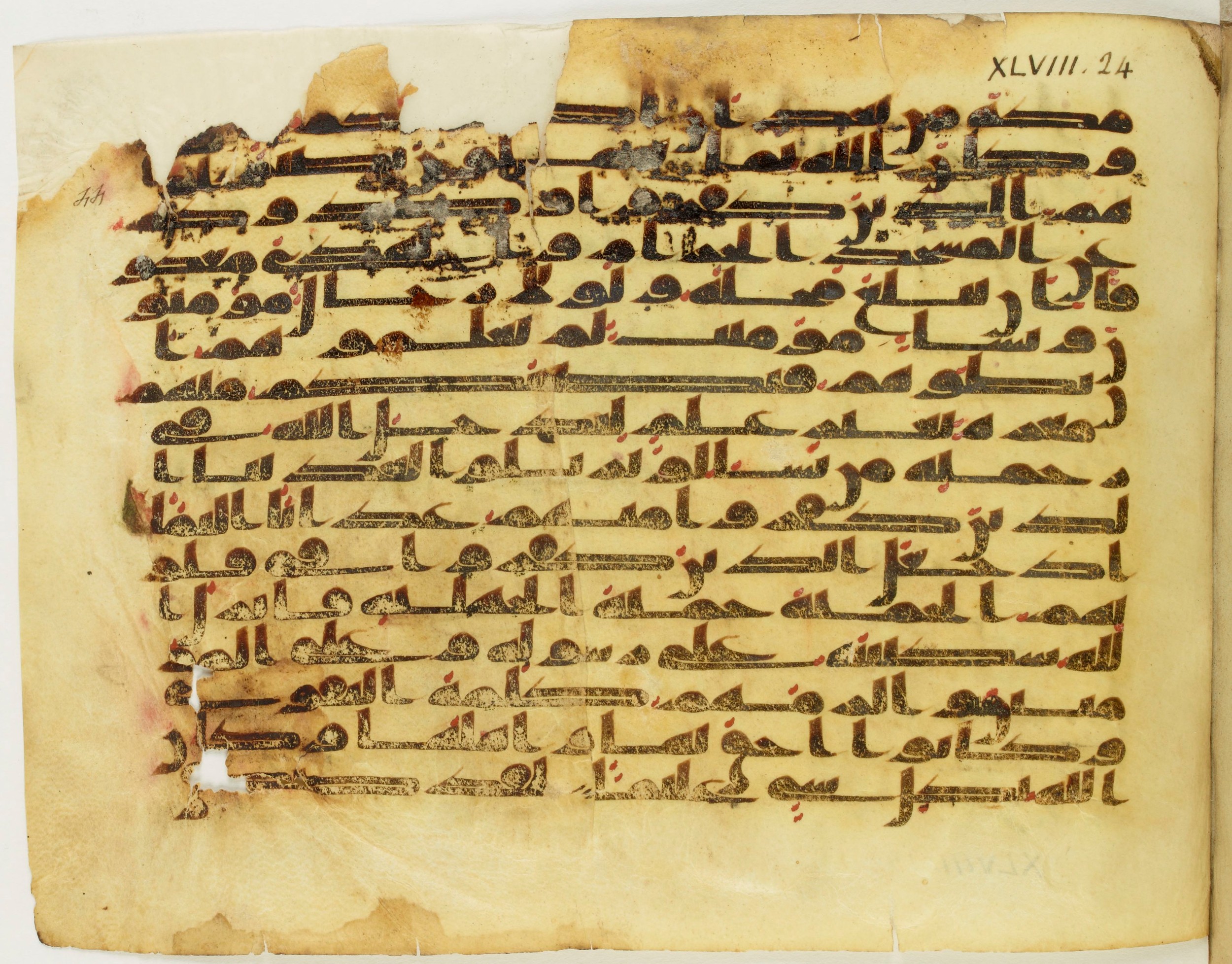 Paris, Bibliothèque nationale de France, Arabe 345 (c) (Scan 2), in Kufic C.II script, showing Surah 48:24 from 8th to 9th Century AD found in Fustat (Old Cairo), Egypt, currently housed at Bibliothèque nationale de France, Paris