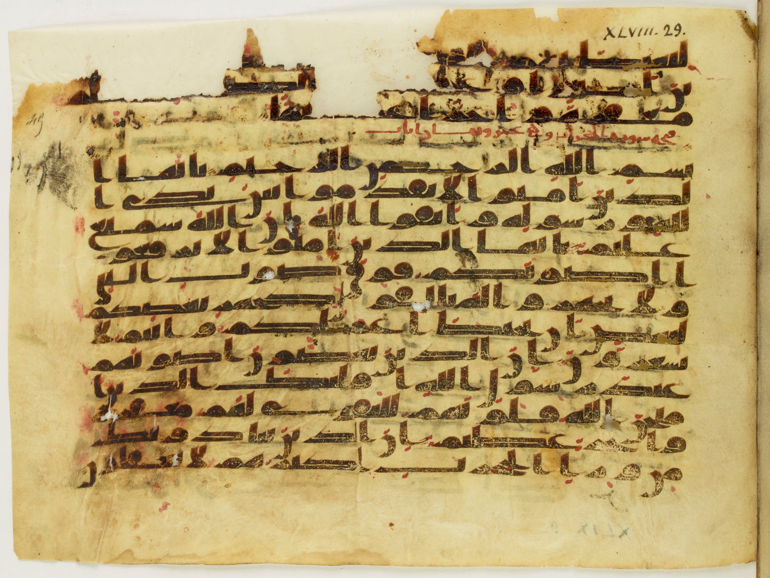 Paris, Bibliothèque nationale de France, Arabe 345 (c), in Kufic C.II script, showing Surah 49:2 from 8th to 9th Century AD found in Fustat (Old Cairo), Egypt, currently housed at Bibliothèque nationale de France, Paris