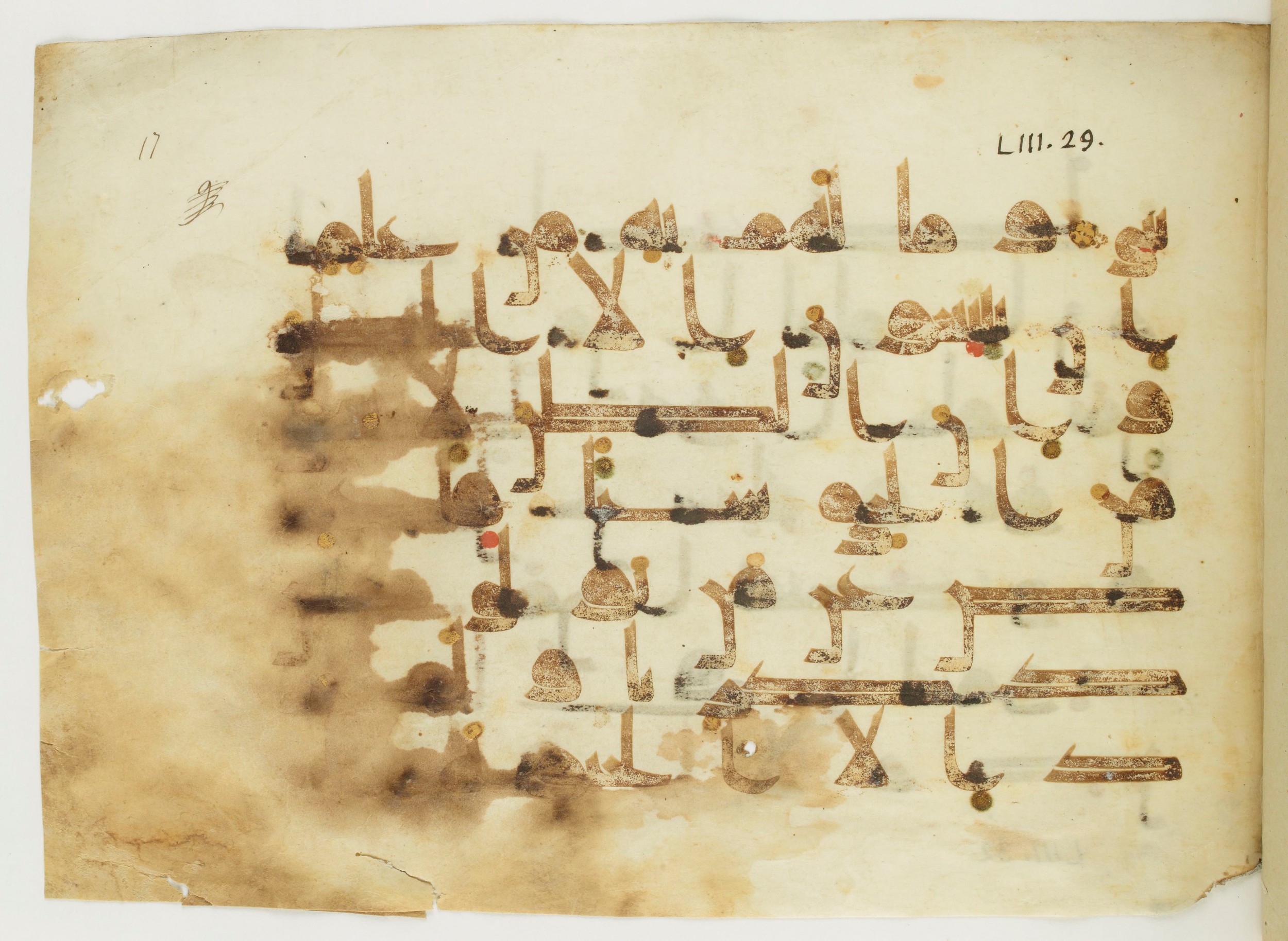 Paris, Bibliothèque nationale de France, Arabe 346 (a), in Kūfī D.I script, showing Surah 53:28 from Late 8th / 9th Century AD found in Fustat (Old Cairo), Egypt, currently housed at Bibliothèque nationale de France, Paris