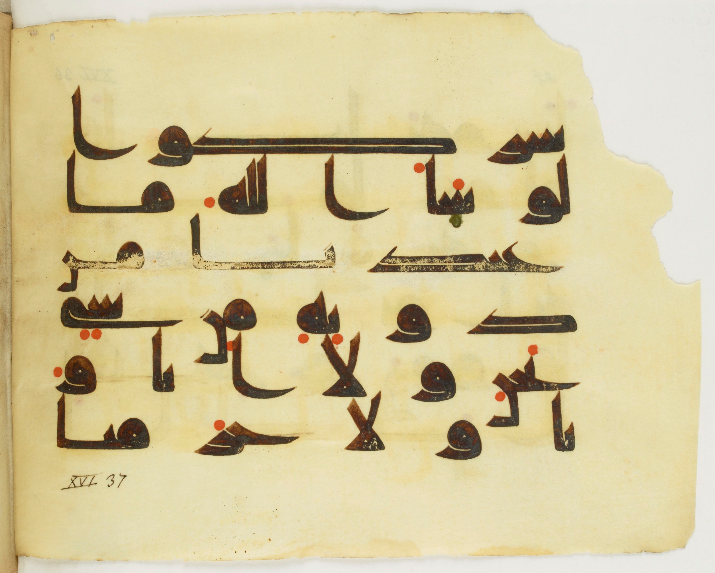 Paris, Bibliothèque nationale de France, Arabe 346 (b) (Scan 2), in kūfī D.I script, showing Surah 16:35 from 8th to 9th Century AD found in Fustat (Old Cairo), Egypt, currently housed at Bibliothèque nationale de France, Paris