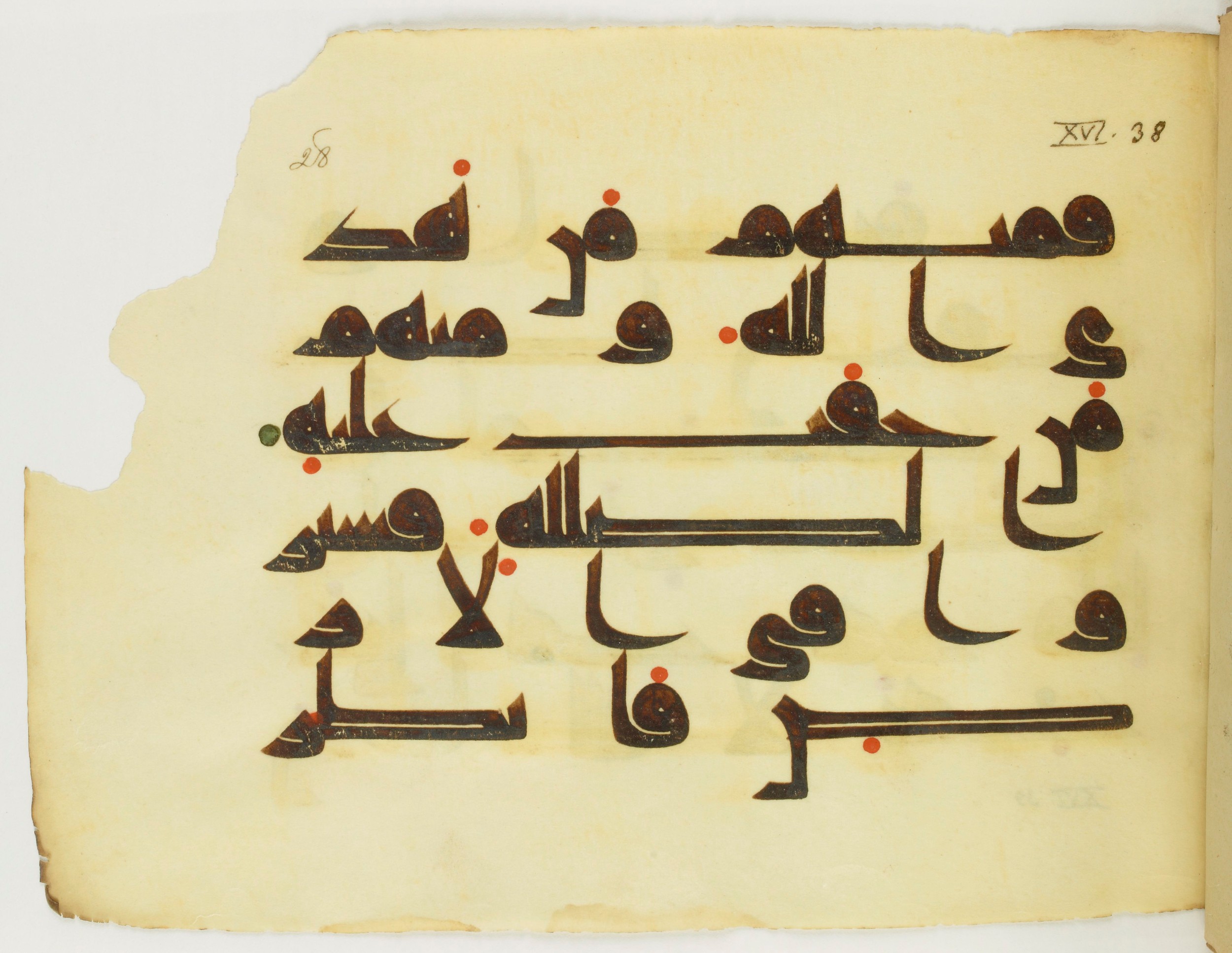 Paris, Bibliothèque nationale de France, Arabe 346 (b) (Scan 2), in kūfī D.I script, showing Surah 16:36 from 8th to 9th Century AD found in Fustat (Old Cairo), Egypt, currently housed at Bibliothèque nationale de France, Paris