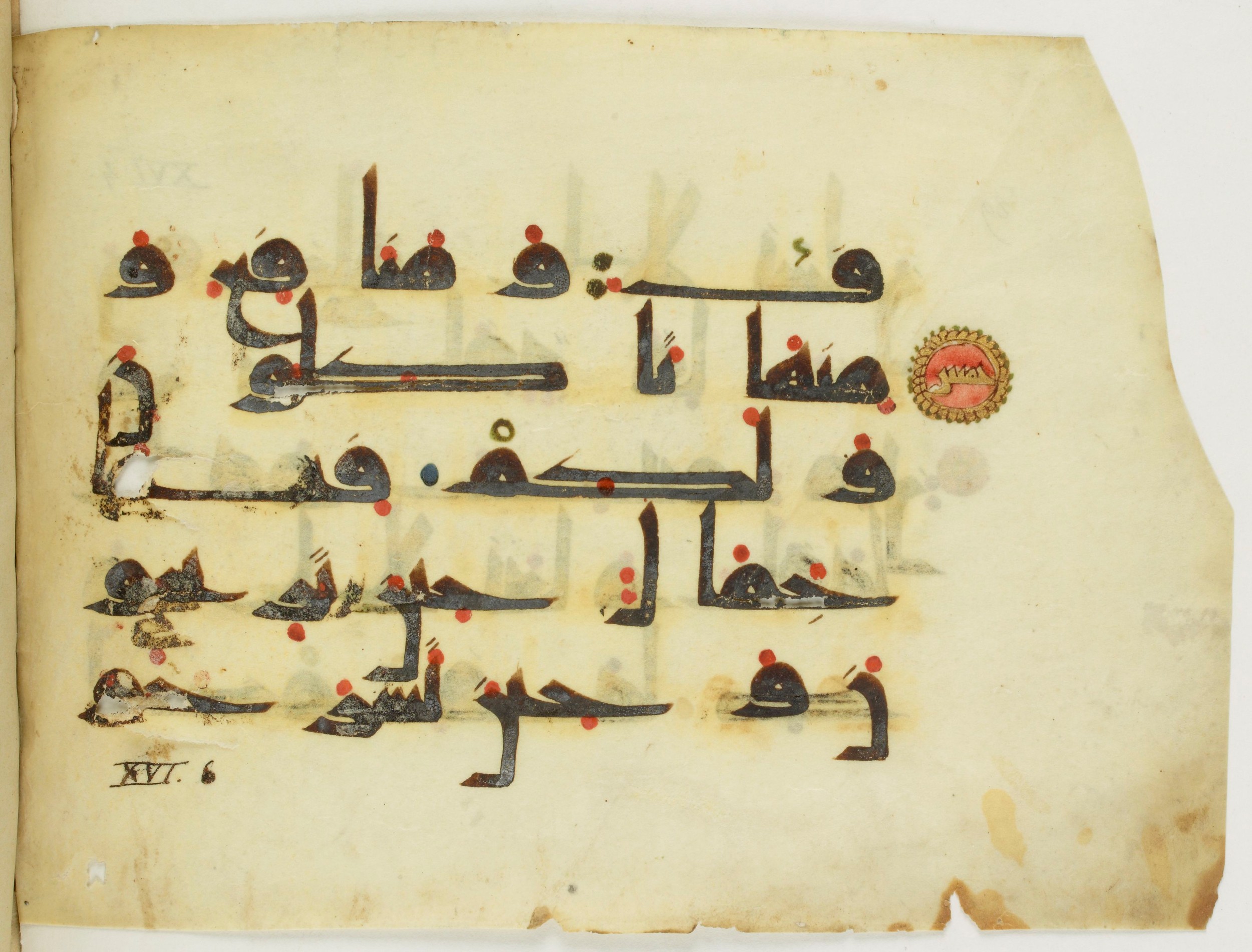 Paris, Bibliothèque nationale de France, Arabe 346 (d), in Kufic (type D V a) script, showing Surah 16:6 from Mid 8th to Late 9th Century AD found in Fustat (Old Cairo), Egypt, currently housed at Bibliothèque nationale de France, Paris
