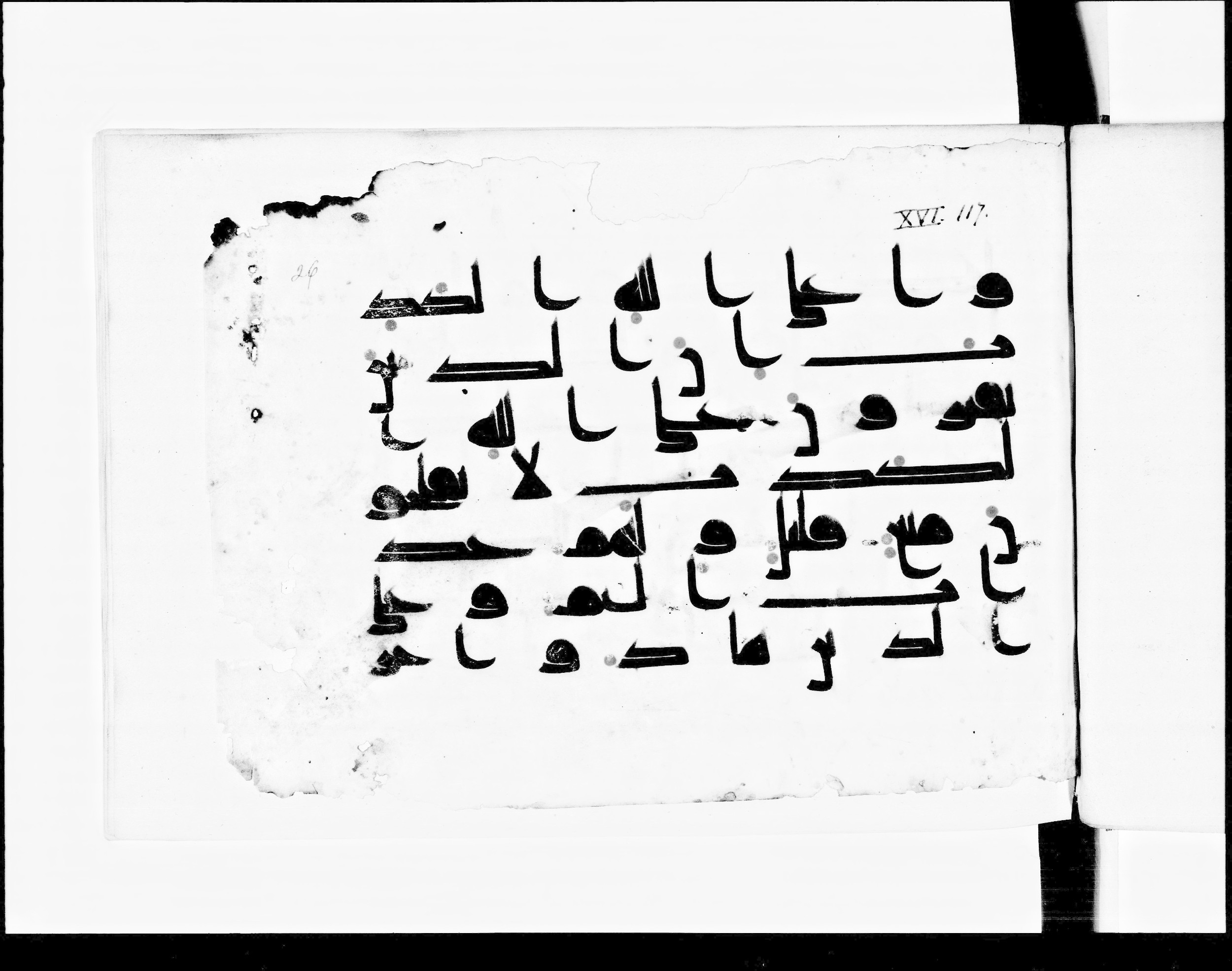 Paris, Bibliothèque nationale de France, Arabe 348 (b), in Kūfī D.I script, showing Surah 16:116 from 8th to 9th Century AD found in Fustat (Old Cairo), Egypt, currently housed at Bibliothèque nationale de France, Paris