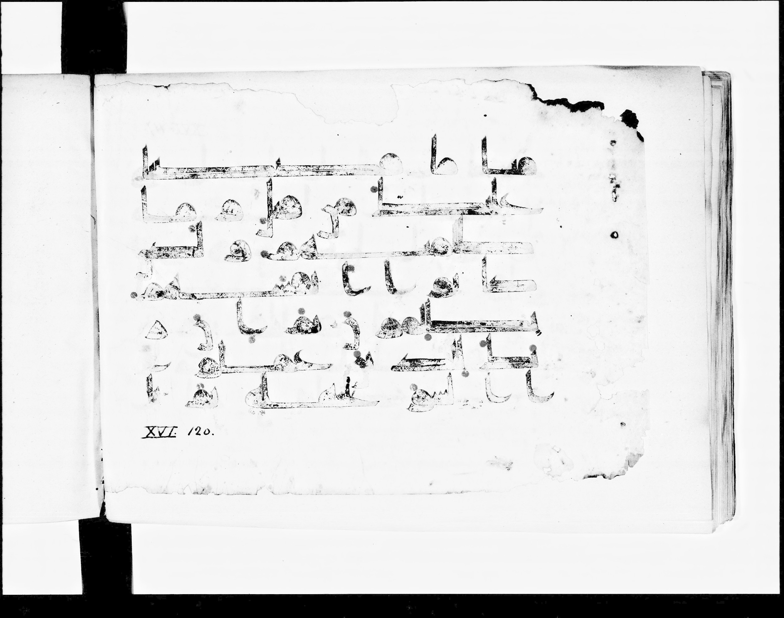 Paris, Bibliothèque nationale de France, Arabe 348 (b), in Kūfī D.I script, showing Surah 16:119 from 8th to 9th Century AD found in Fustat (Old Cairo), Egypt, currently housed at Bibliothèque nationale de France, Paris