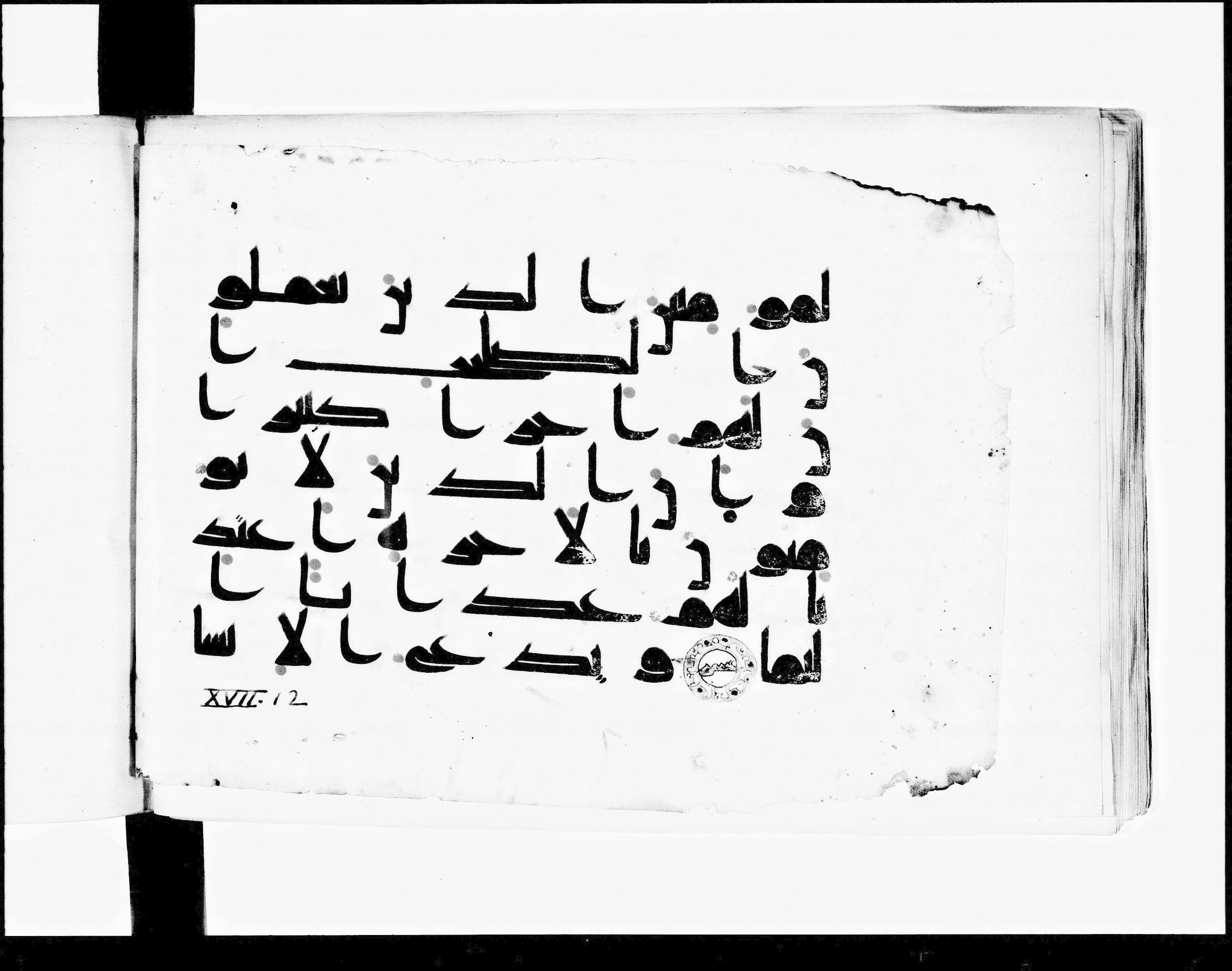 Paris, Bibliothèque nationale de France, Arabe 348 (b), in Kūfī D.I script, showing Surah 17:10 from 8th to 9th Century AD found in Fustat (Old Cairo), Egypt, currently housed at Bibliothèque nationale de France, Paris