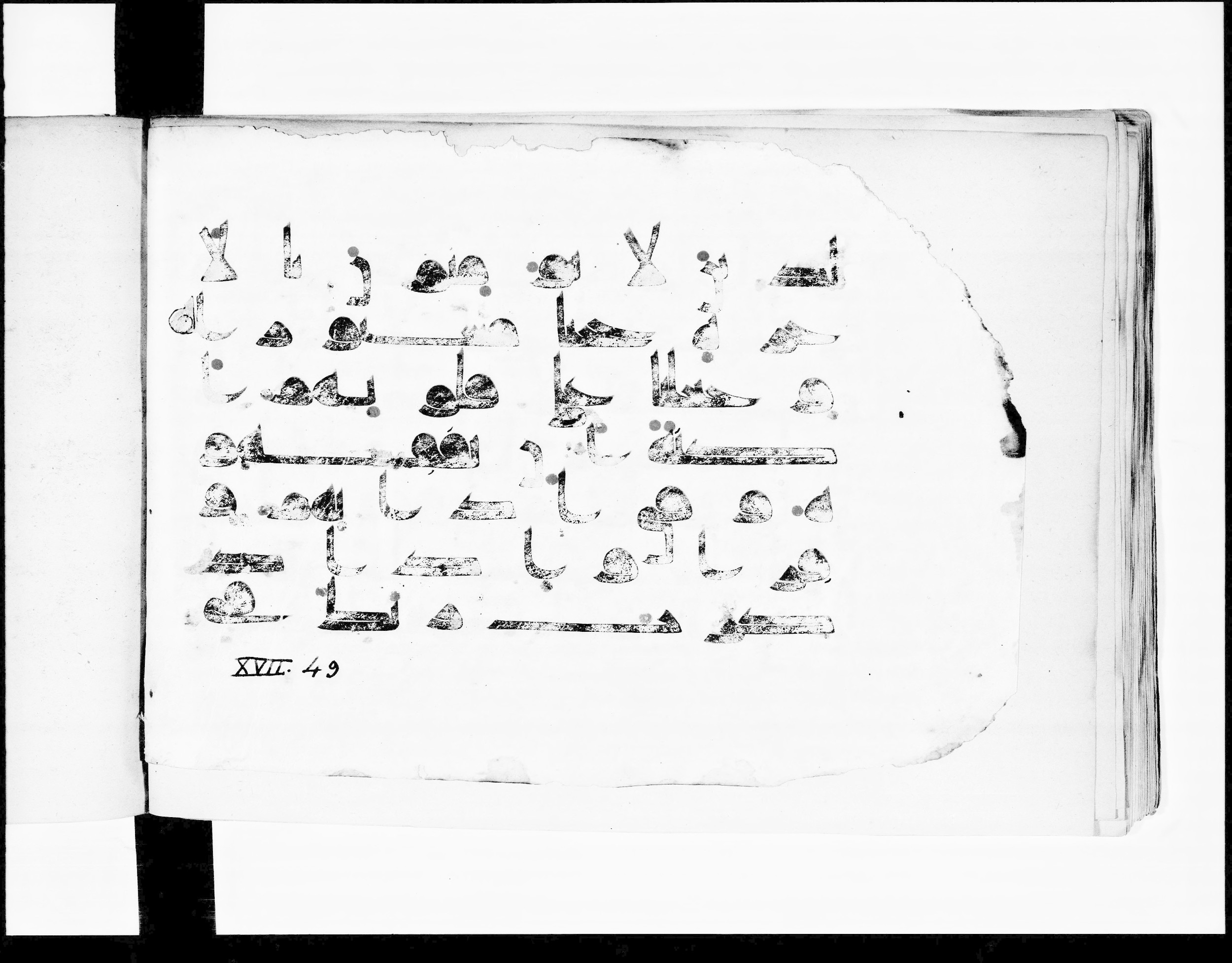 Paris, Bibliothèque nationale de France, Arabe 348 (b) (Scan 2), in Kūfī D.I script, showing Surah 17:45 from 8th to 9th Century AD found in Fustat (Old Cairo), Egypt, currently housed at Bibliothèque nationale de France, Paris