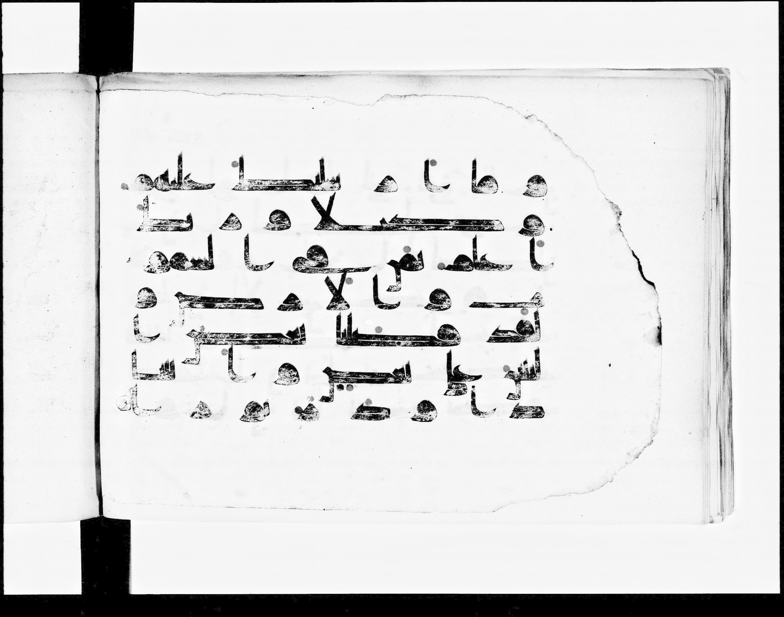 Paris, Bibliothèque nationale de France, Arabe 348 (b), in Kūfī D.I script, showing Surah 17:55 from 8th to 9th Century AD found in Fustat (Old Cairo), Egypt, currently housed at Bibliothèque nationale de France, Paris
