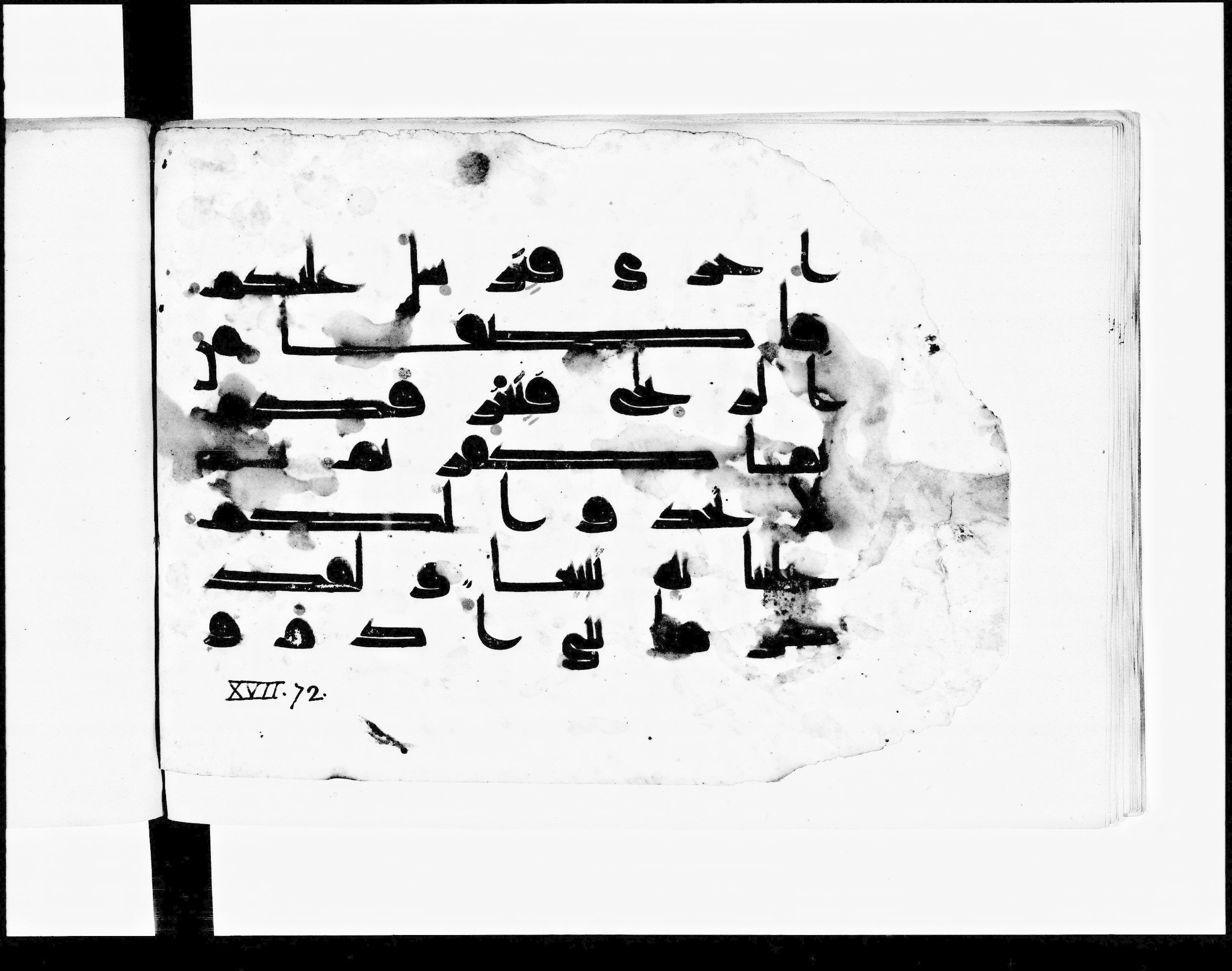 Paris, Bibliothèque nationale de France, Arabe 348 (b), in Kūfī D.I script, showing Surah 17:70 from 8th to 9th Century AD found in Fustat (Old Cairo), Egypt, currently housed at Bibliothèque nationale de France, Paris