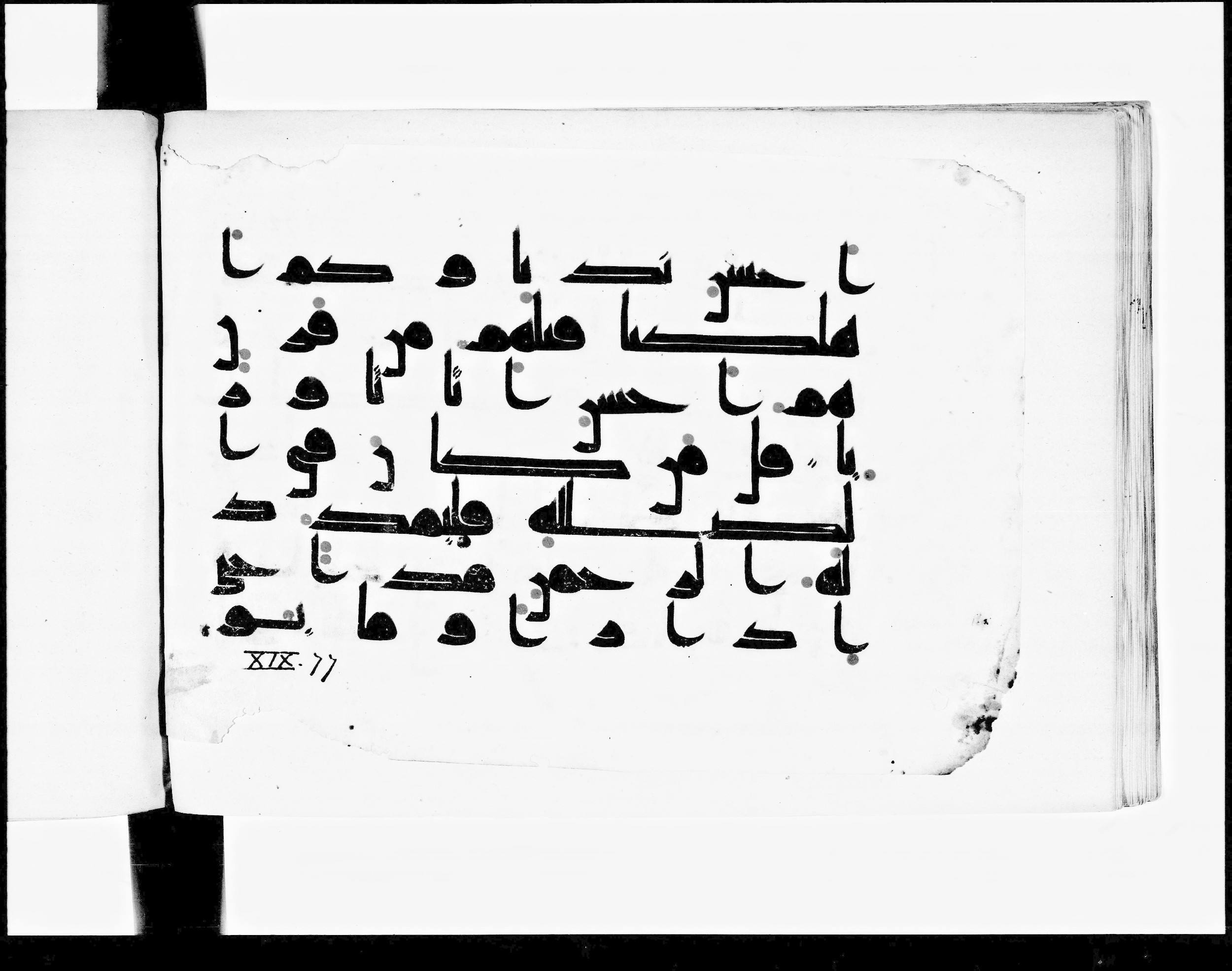 Paris, Bibliothèque nationale de France, Arabe 348 (b) (Scan 2), in Kūfī D.I script, showing Surah 19:73 from 8th to 9th Century AD found in Fustat (Old Cairo), Egypt, currently housed at Bibliothèque nationale de France, Paris