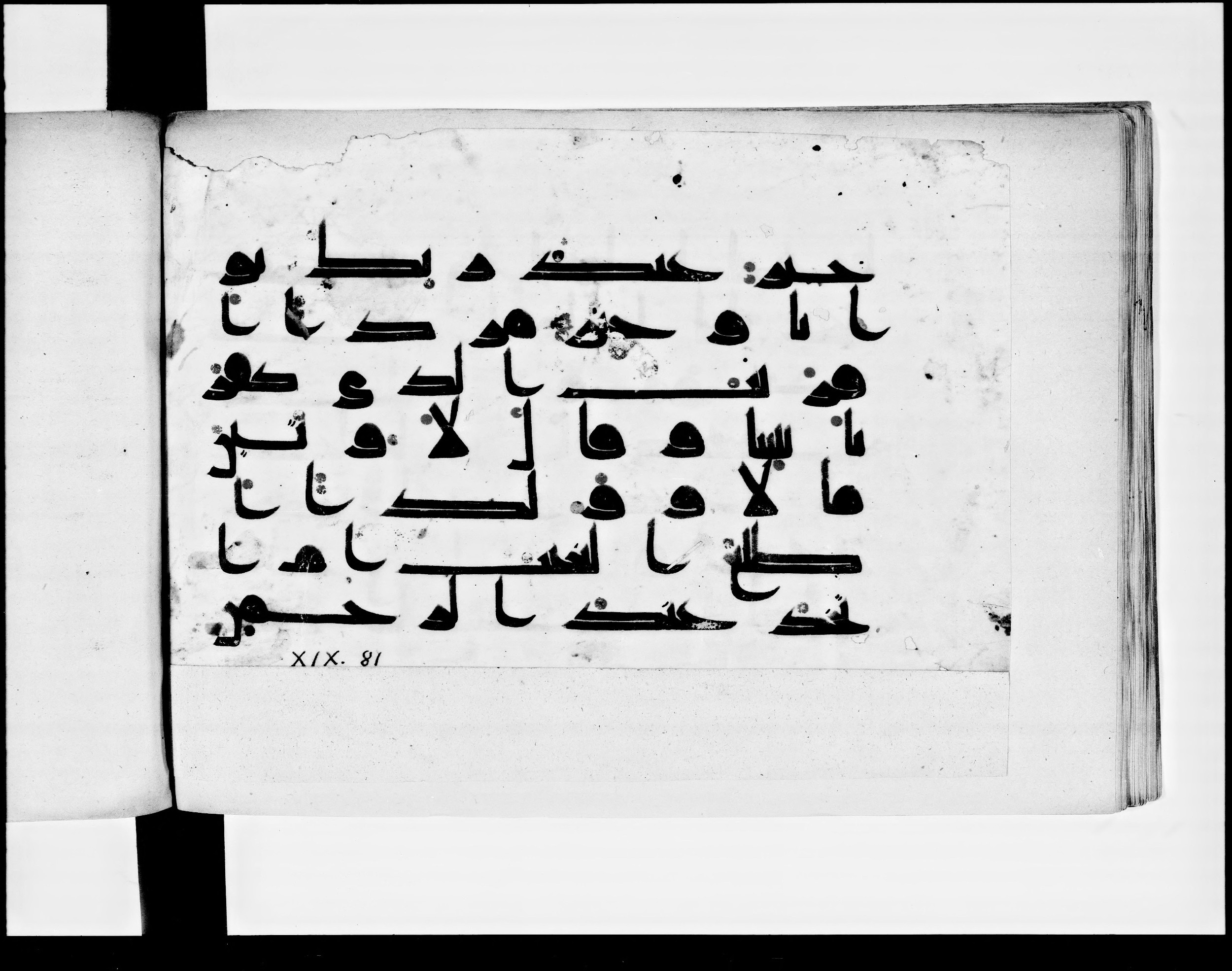 Paris, Bibliothèque nationale de France, Arabe 348 (b) (Scan 2), in Kūfī D.I script, showing Surah 19:76 from 8th to 9th Century AD found in Fustat (Old Cairo), Egypt, currently housed at Bibliothèque nationale de France, Paris