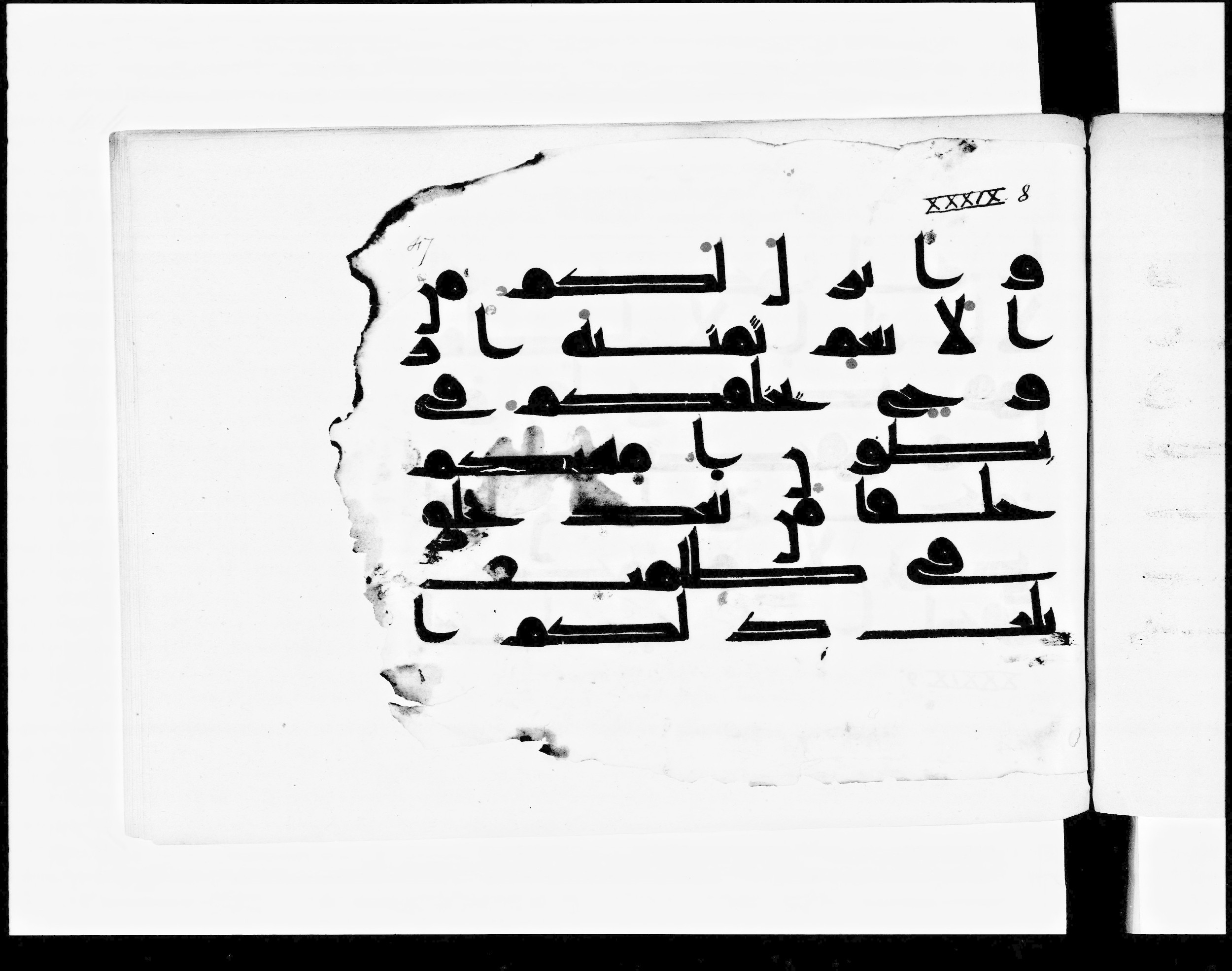Paris, Bibliothèque nationale de France, Arabe 348 (b) (Scan 1), in Kūfī D.I script, showing Surah 39:6 from 8th to 9th Century AD found in Fustat (Old Cairo), Egypt, currently housed at Bibliothèque nationale de France, Paris