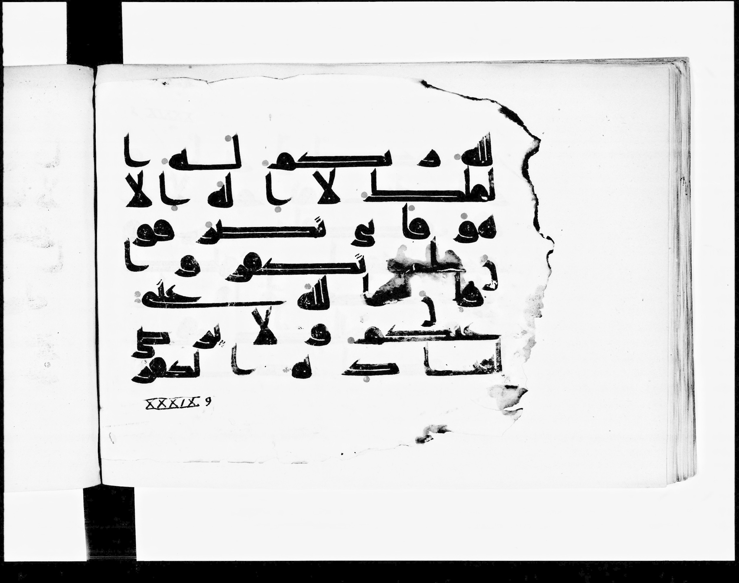 Paris, Bibliothèque nationale de France, Arabe 348 (b) (Scan 1), in Kūfī D.I script, showing Surah 39:7 from 8th to 9th Century AD found in Fustat (Old Cairo), Egypt, currently housed at Bibliothèque nationale de France, Paris