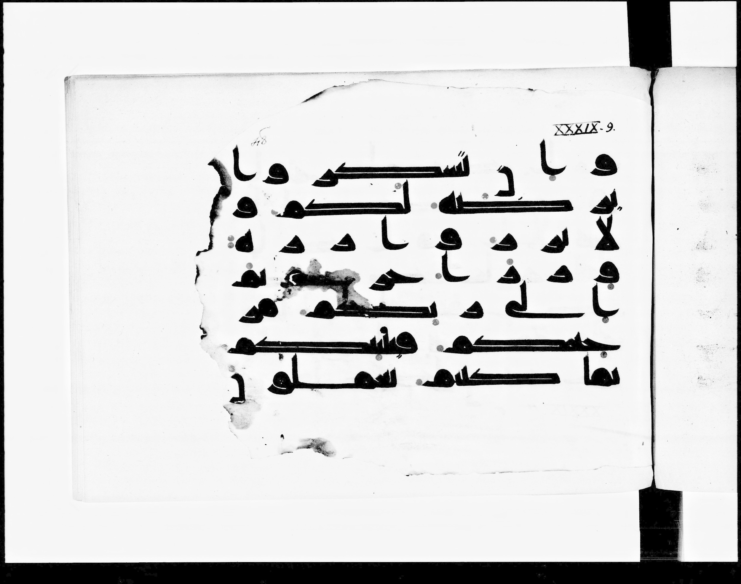 Paris, Bibliothèque nationale de France, Arabe 348 (b) (Scan 2), in Kūfī D.I script, showing Surah 39:7 from 8th to 9th Century AD found in Fustat (Old Cairo), Egypt, currently housed at Bibliothèque nationale de France, Paris