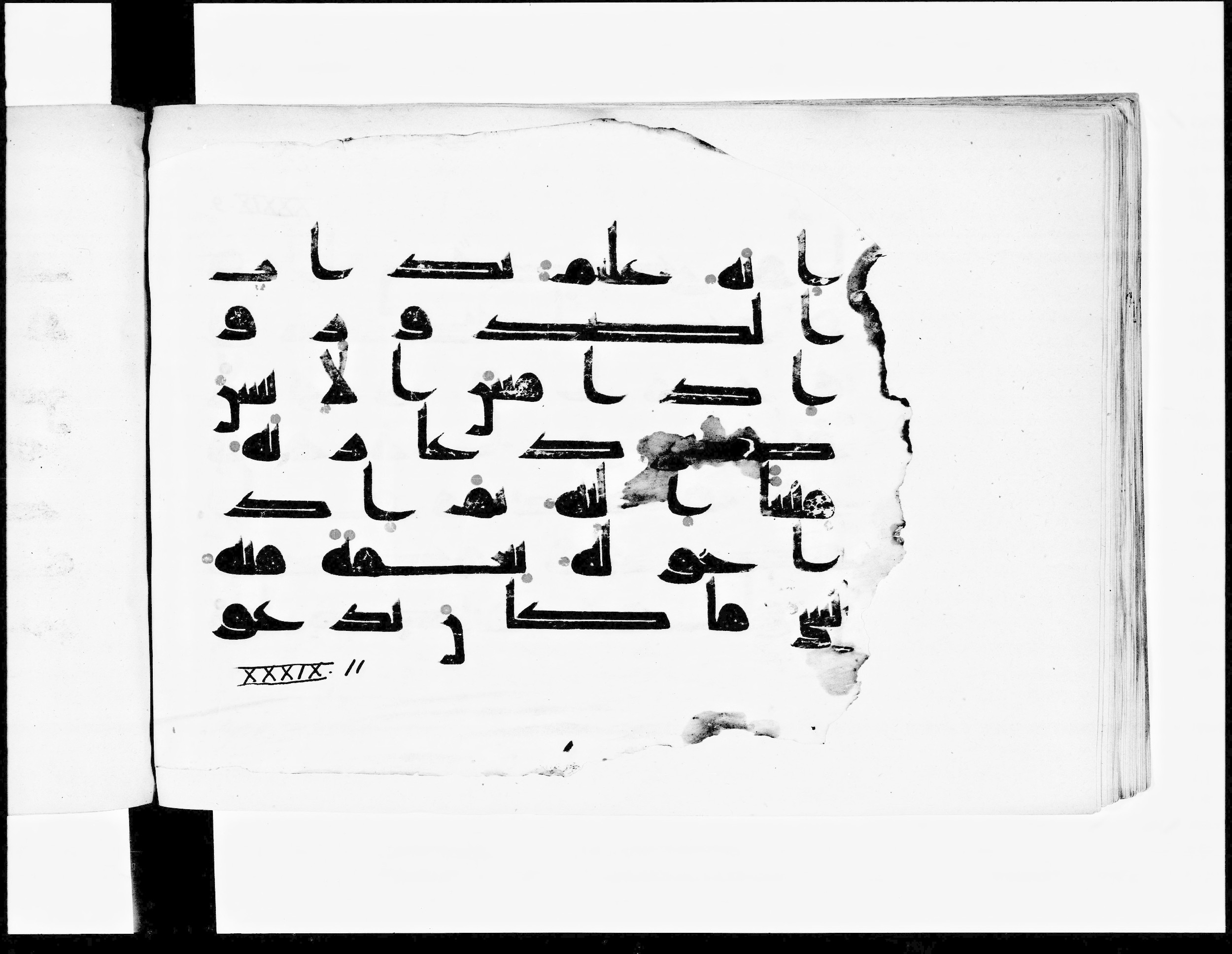 Paris, Bibliothèque nationale de France, Arabe 348 (b) (Scan 3), in Kūfī D.I script, showing Surah 39:7 from 8th to 9th Century AD found in Fustat (Old Cairo), Egypt, currently housed at Bibliothèque nationale de France, Paris